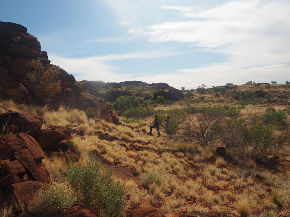 Rangers standing on rocky outcrops of the Central Ranges= Western Australia