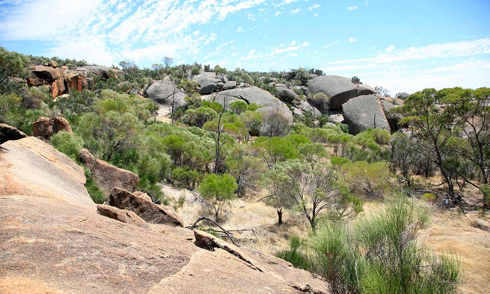 Rocky landscape= Kokerbin= Western Australia