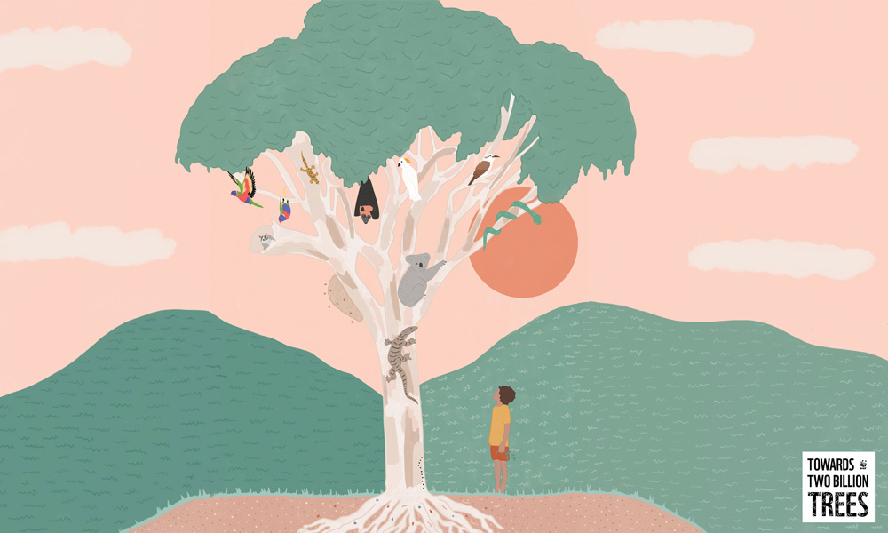 Secret Life of a Tree