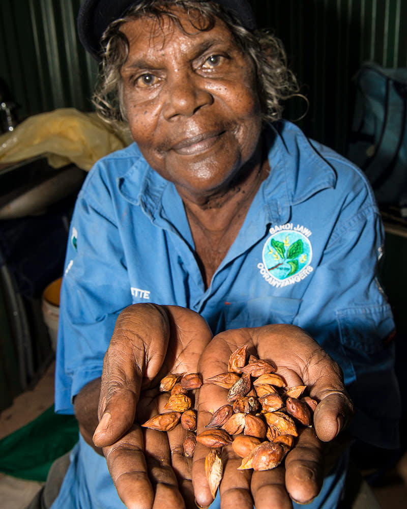 Senior Bardi Jawi Cultural Advisor Bernadette Angus often shares her unique knowledge of Country and plants with the younger rangers
