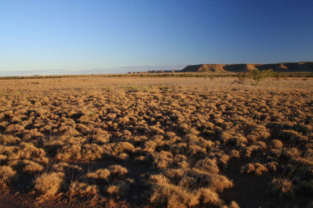 Sunset landscape in the central kimberley with spinifex grass and sandstone ridges