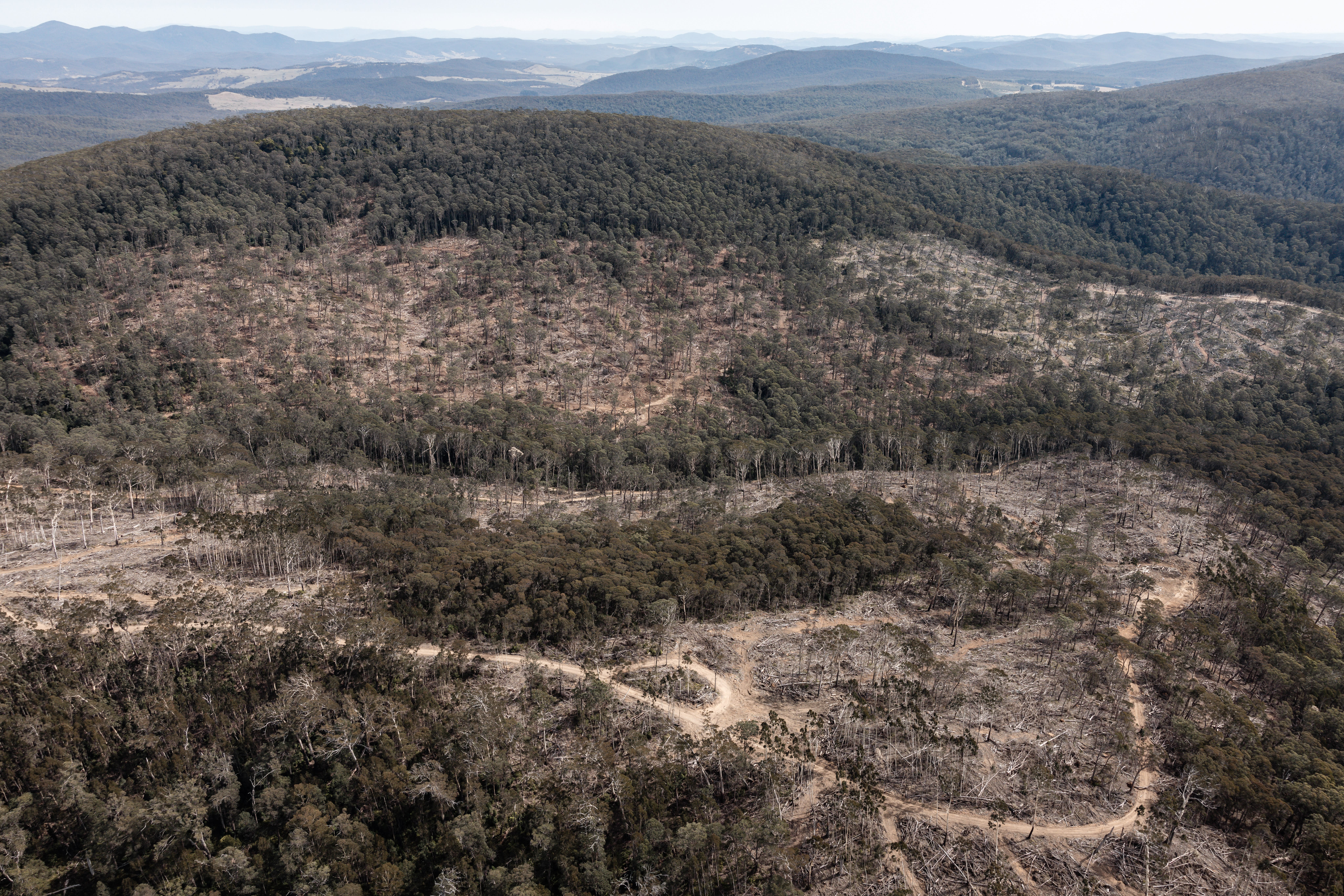 img-tallaganda-helicopter-flight