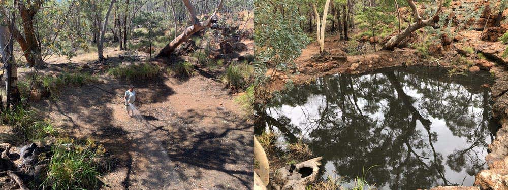 Before (L) and after (R) waterhole restoration in Turraburra, Iningai Country, central Queensland. Suzanne Thompson, YACHATDAC, Author provided