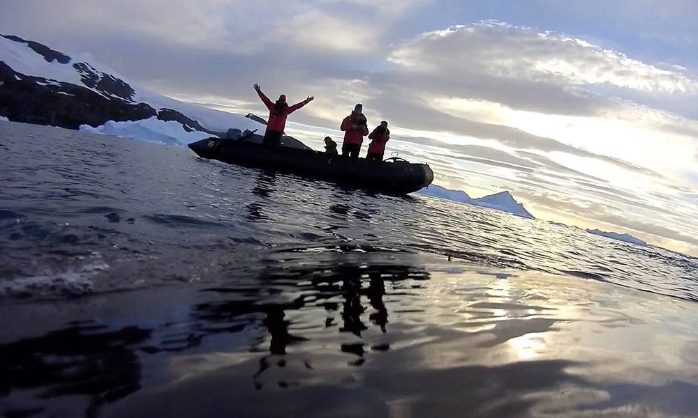 Whale camera showing the whale checking the researchers. Wilhelmina Bay in Antarctic Peninsula. March 2017