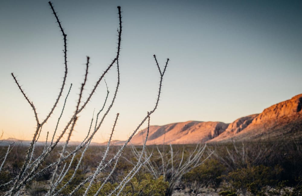 Landscape of the Chihuahua Desert