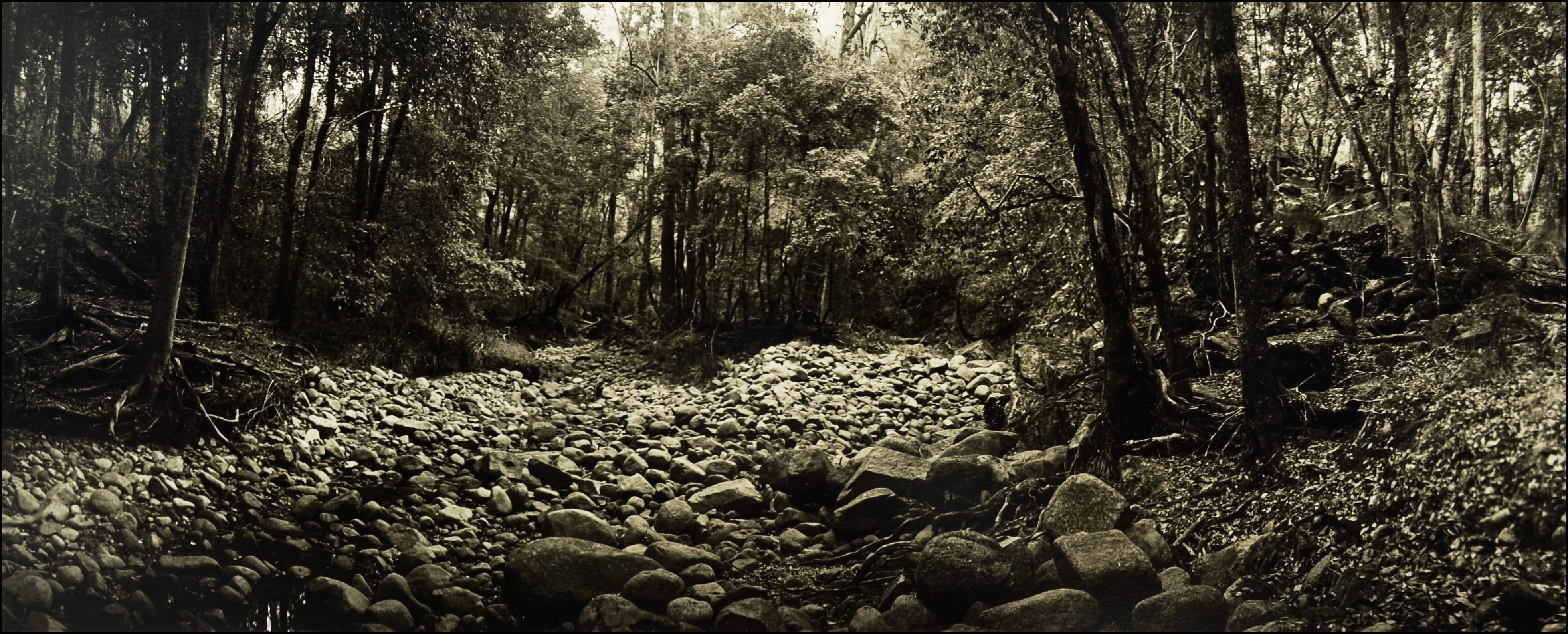 A Creek in Mumbulla, 1979