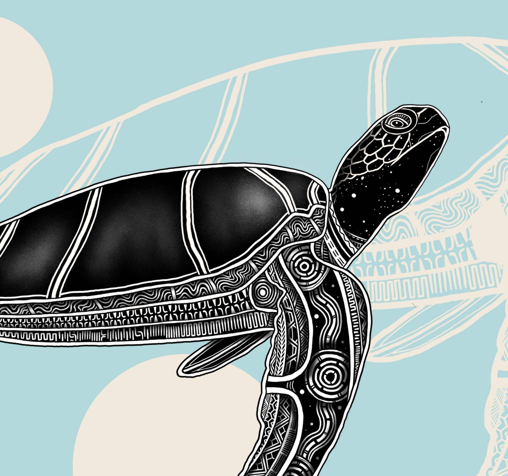 Green sea turtle — Bajigal (Jirrbal) by Jirrbal, Wagedoegam (Torres Strait Islander) and Ngāpuhi artist Beau Pennefather-Motlop