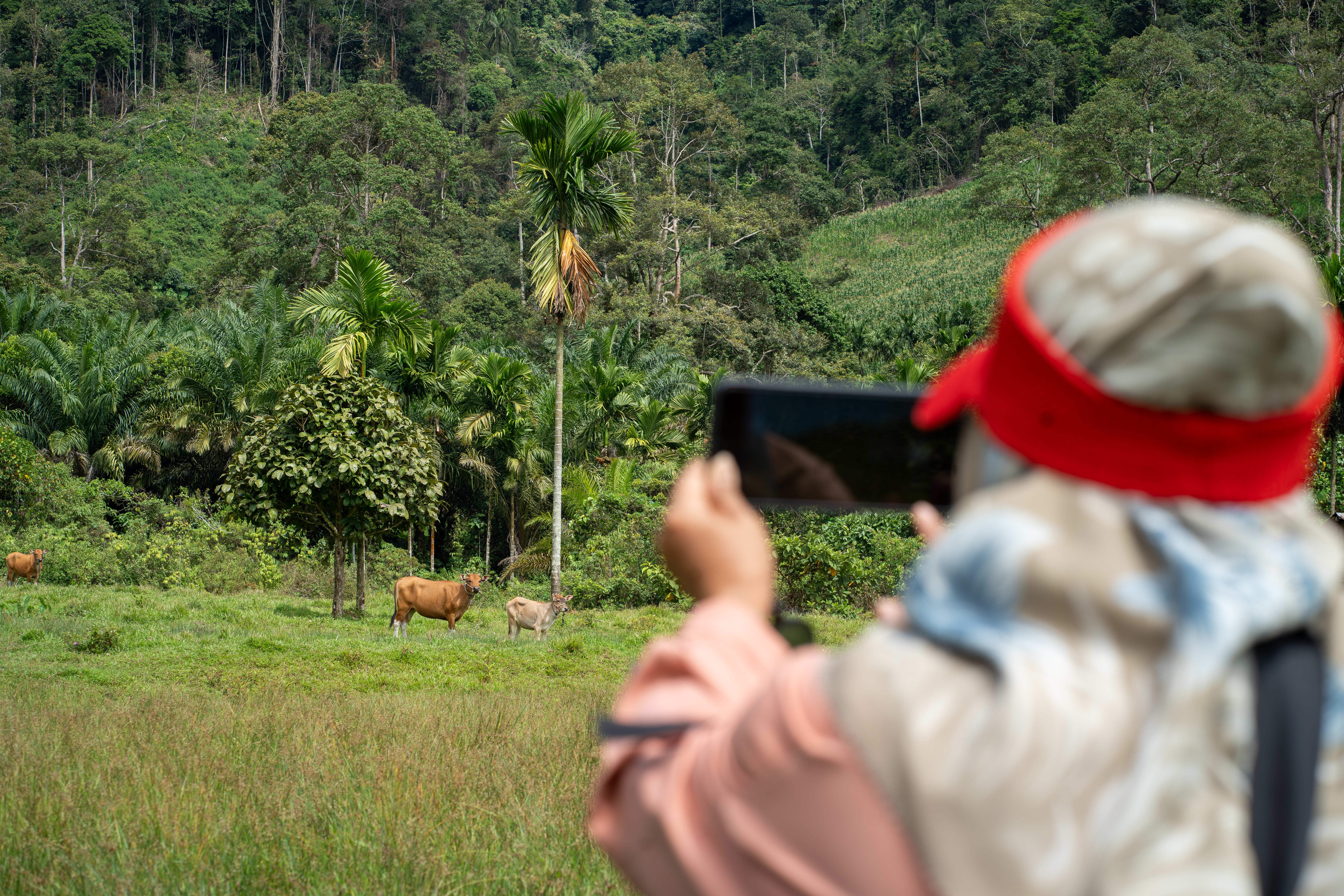 Nayla, a Bataknese Indigenous photographer and facilitator, photographs local wildlife.