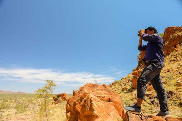 Nyikina Mangala Rangers working to protect Black Flanked Rock Wallaby