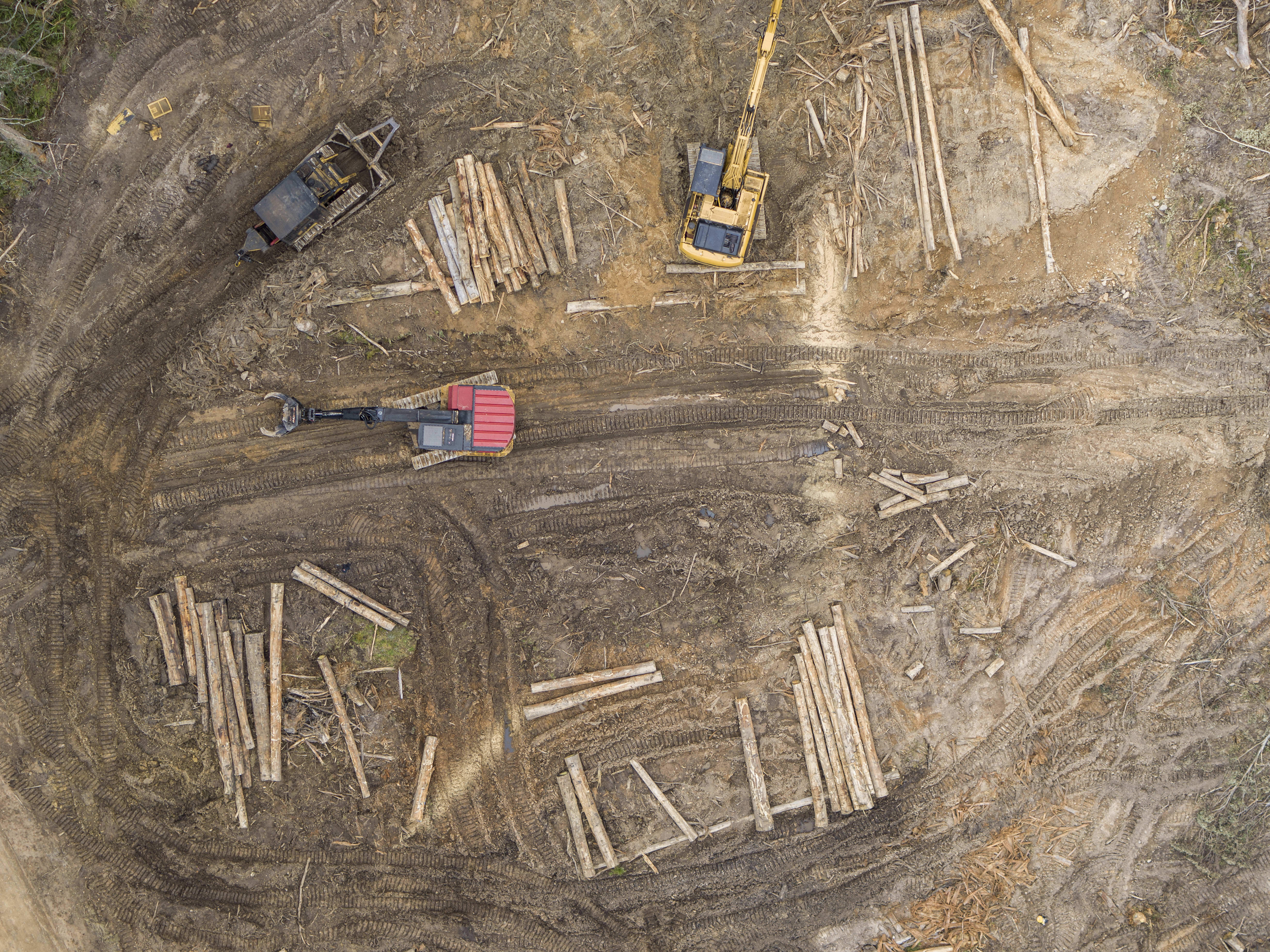 Close up aerial view of machinery logging in Tallaganda State Forest, NSW.