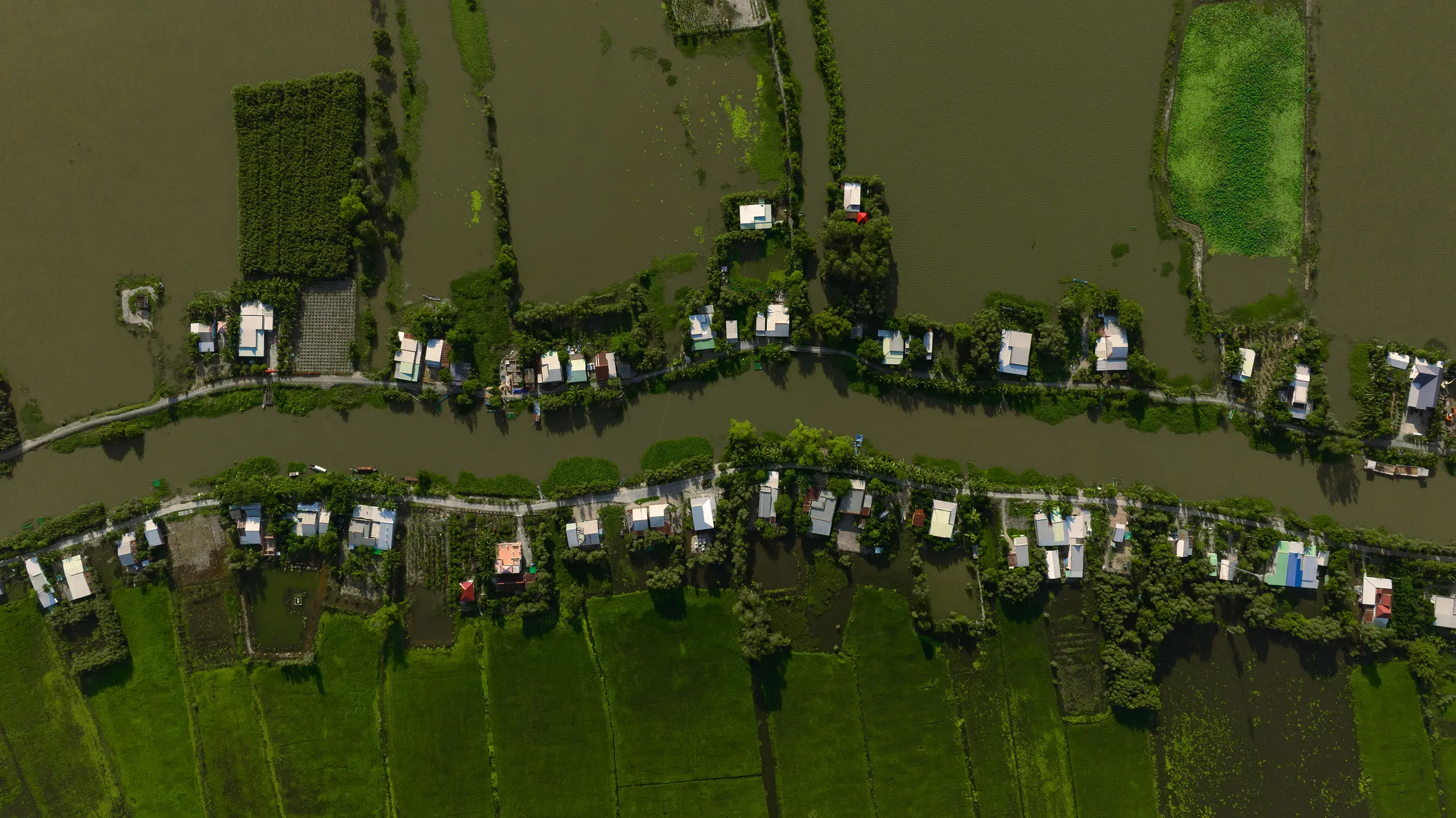 Aerial view of floating rice fields during the flooding season, Mekong Delta, Viet Nam. © WWF-Viet Nam / Cham Team
