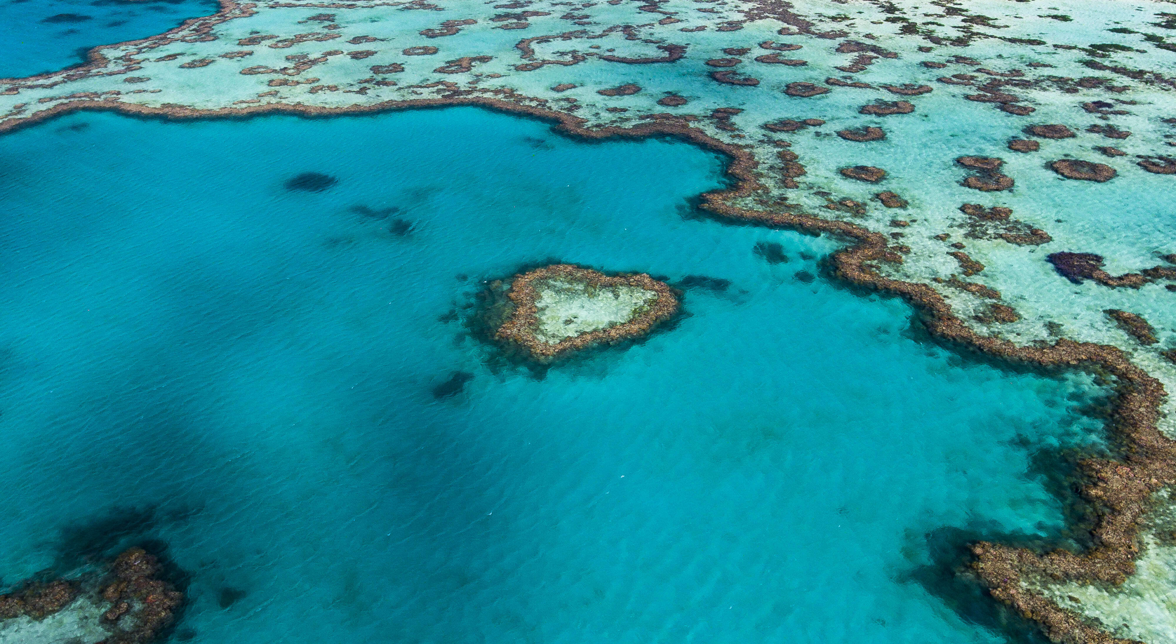 Aerial view of Hardy Reef, home to the Heart Reef, in the Great Barrier Reef
These images were taken on 20 June 2017 by a drone to assess if the Heart Reef has been bleached.
