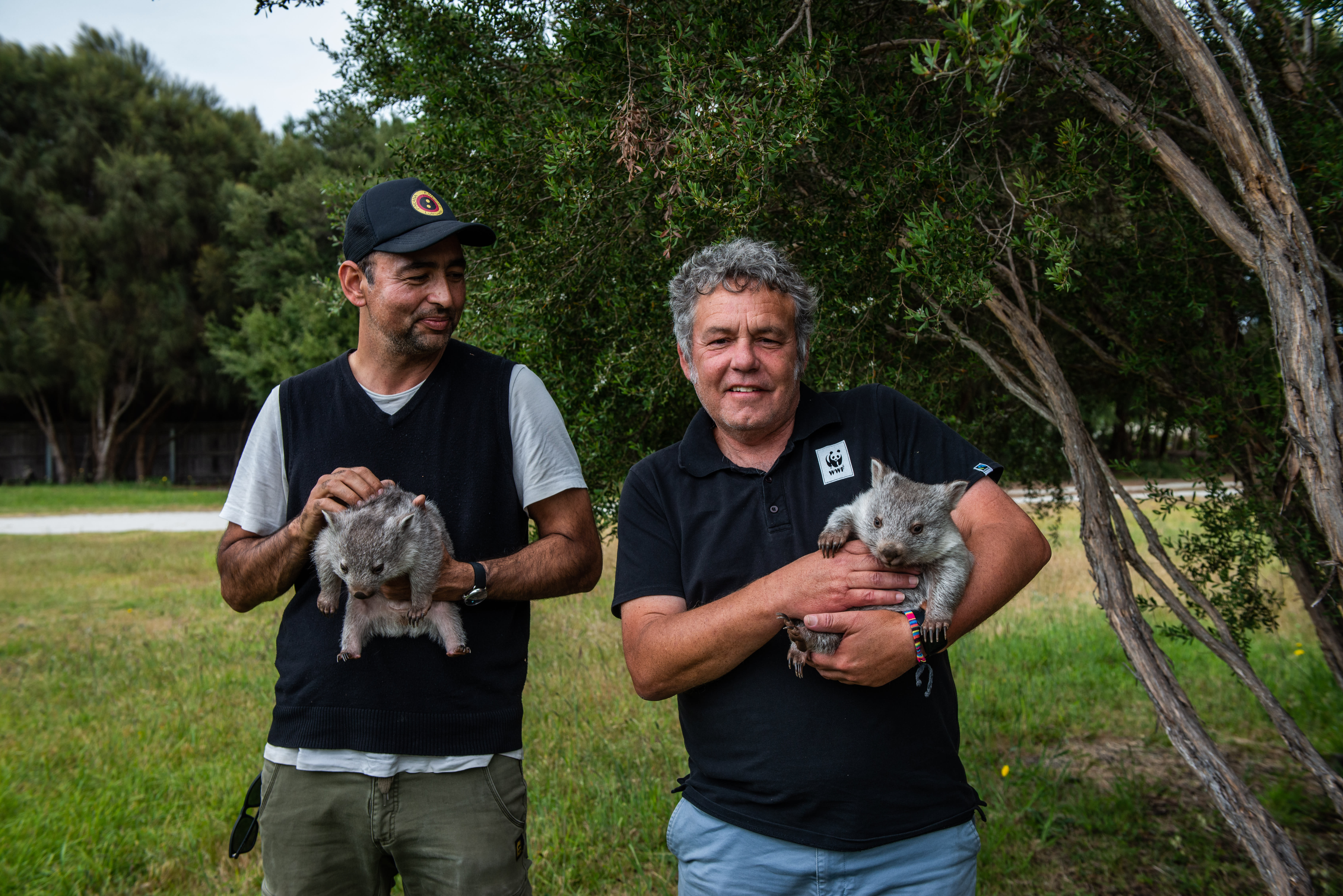 Andry Sculthorpe and Darren Grover with Bass Strait Island Wombat joeys Louis and Grant