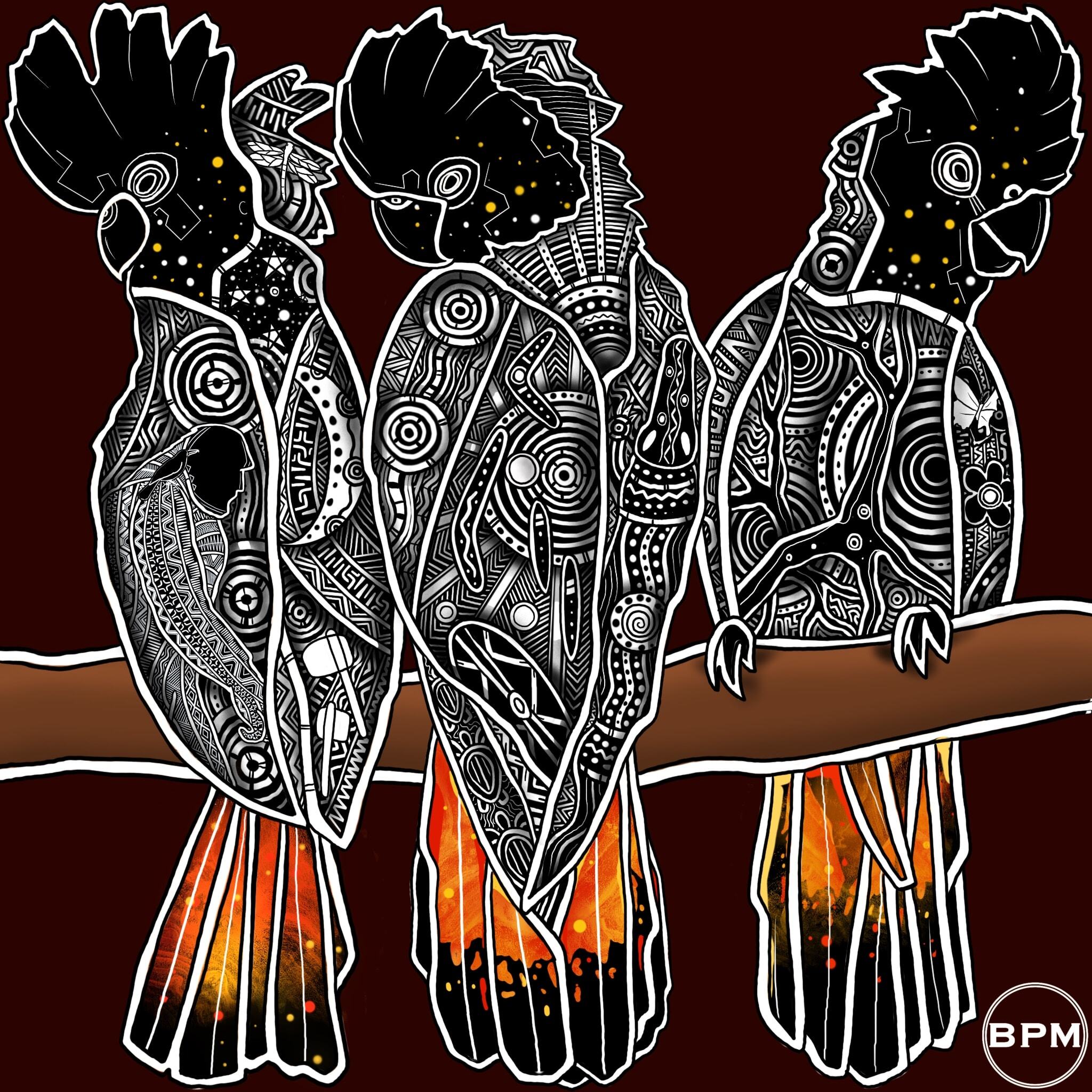 Indigenous glossy black cockatoo Art Square from Beau Pennefather-Motlop