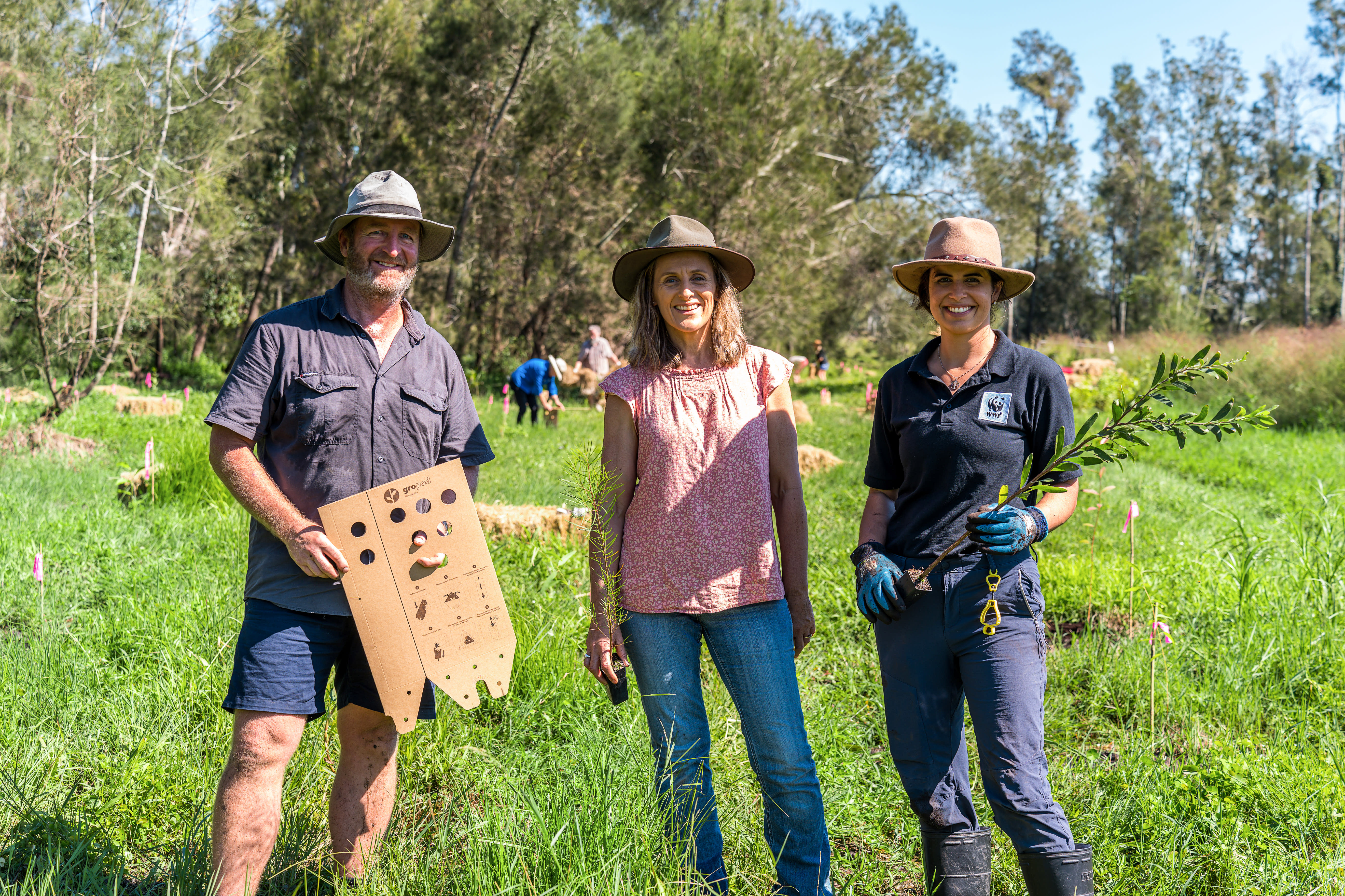 Eastern Forest Nursery Manager Humphrey Herington, Greens MP Sue Higginson, and WWF Koalas Forever project officer Maria Borges at the planting of some of Claude’s lunch leftovers on Sue’s farm, beside Eastern Forest Nursery.