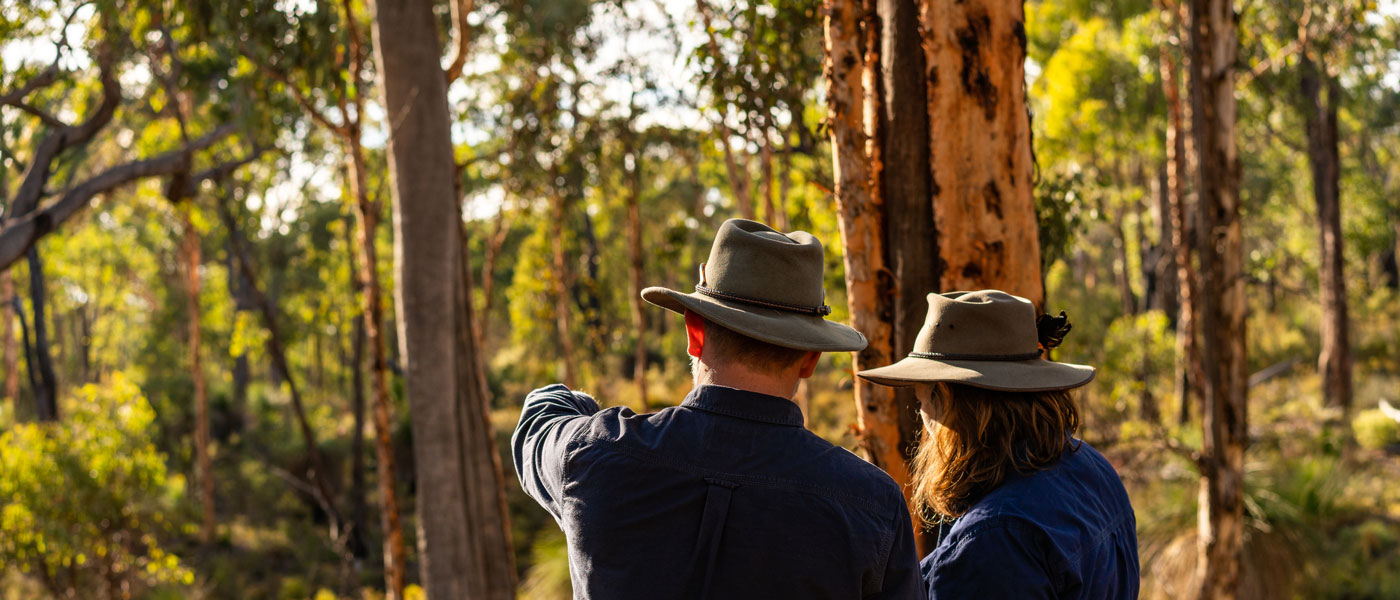 Greening Australia and WWF-Australia - Climate-ready restoration