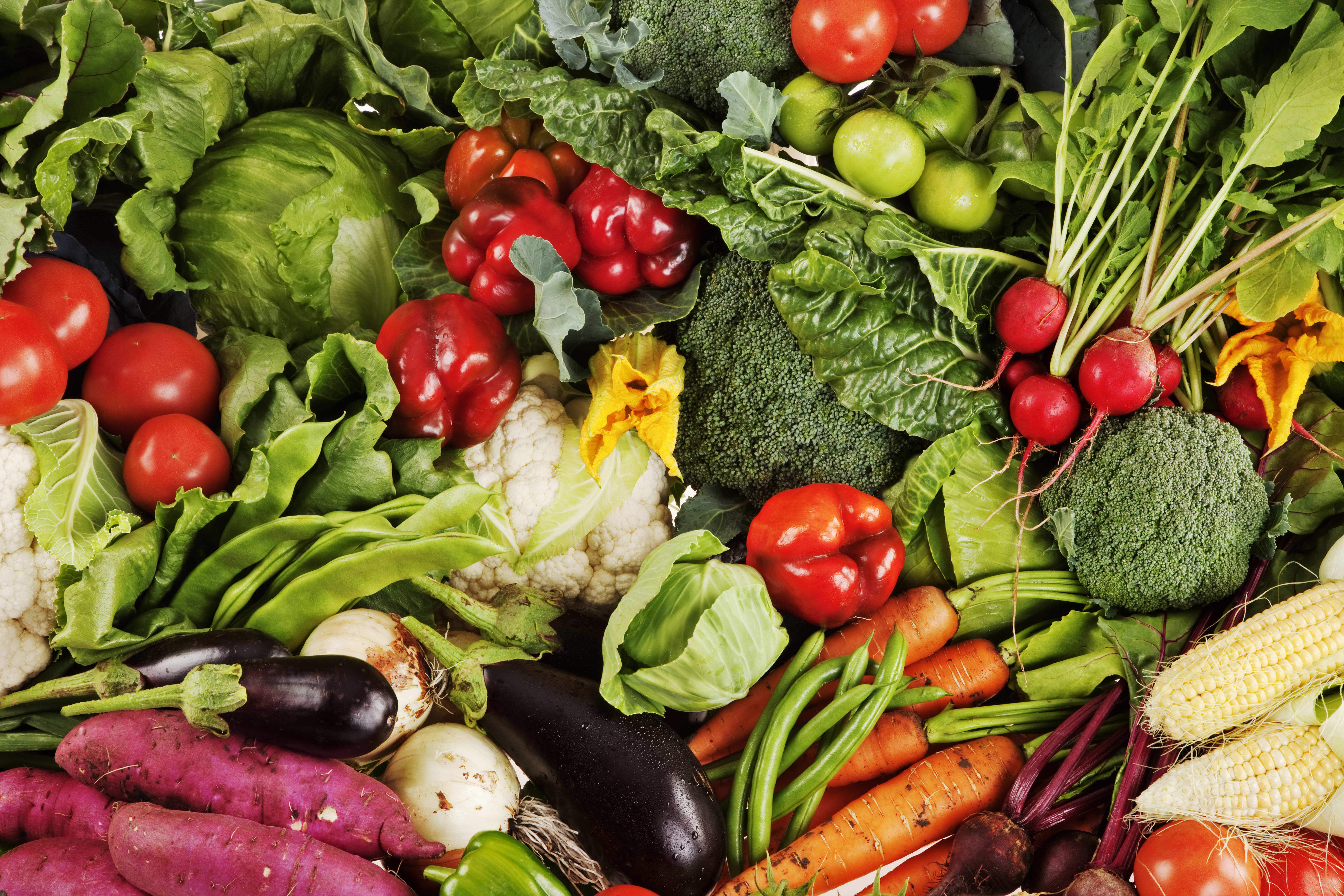 Collection of freshly picked vegetables. South Africa.