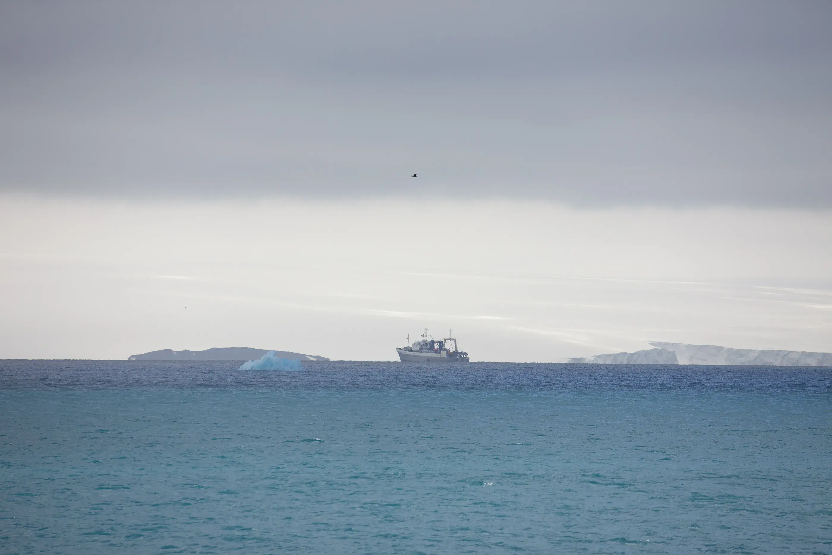 A commercial krill fishing vessel sits in an ocean scene with light grey sky in the background.
