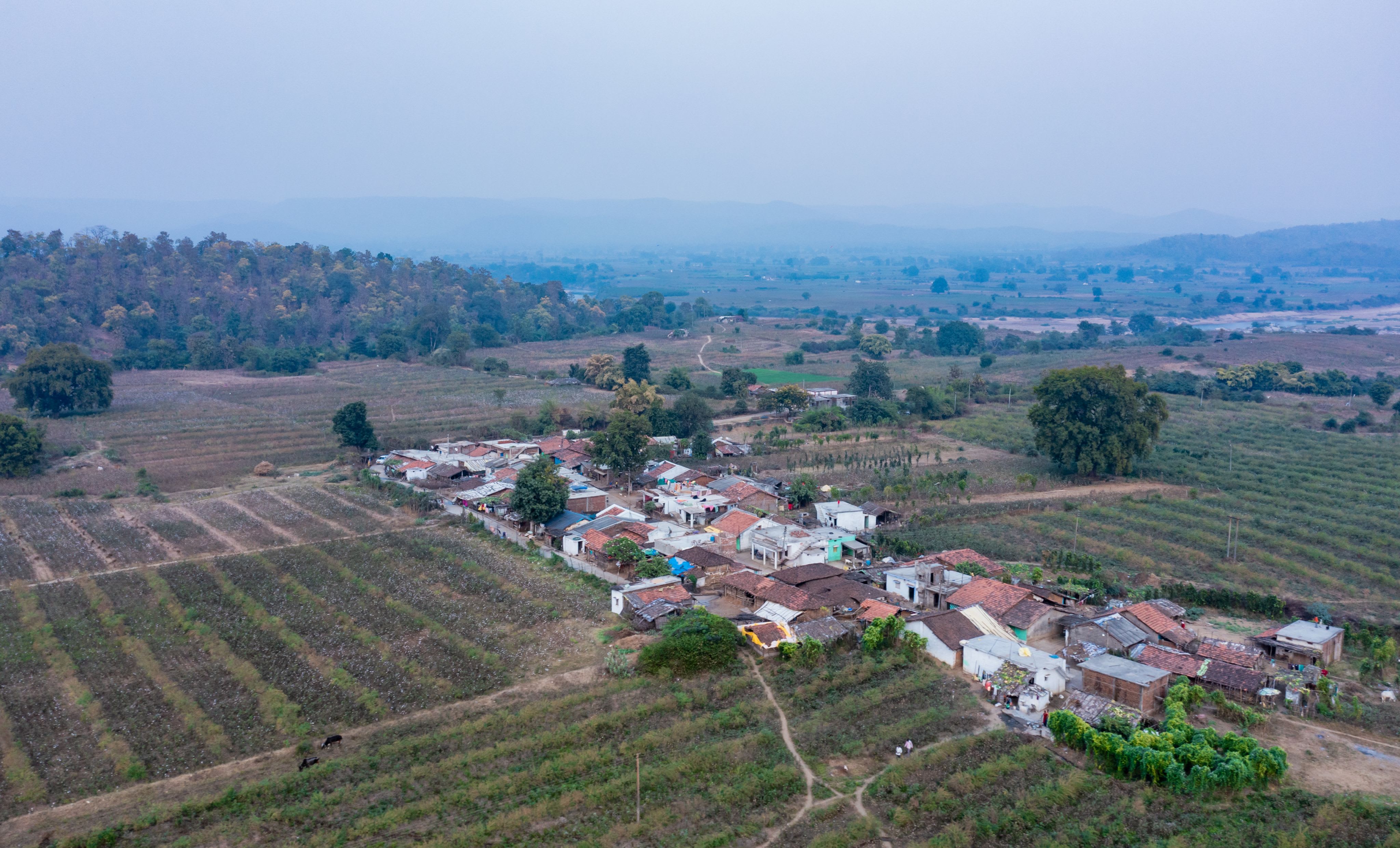 img_community_Satpura-Pench_corridor