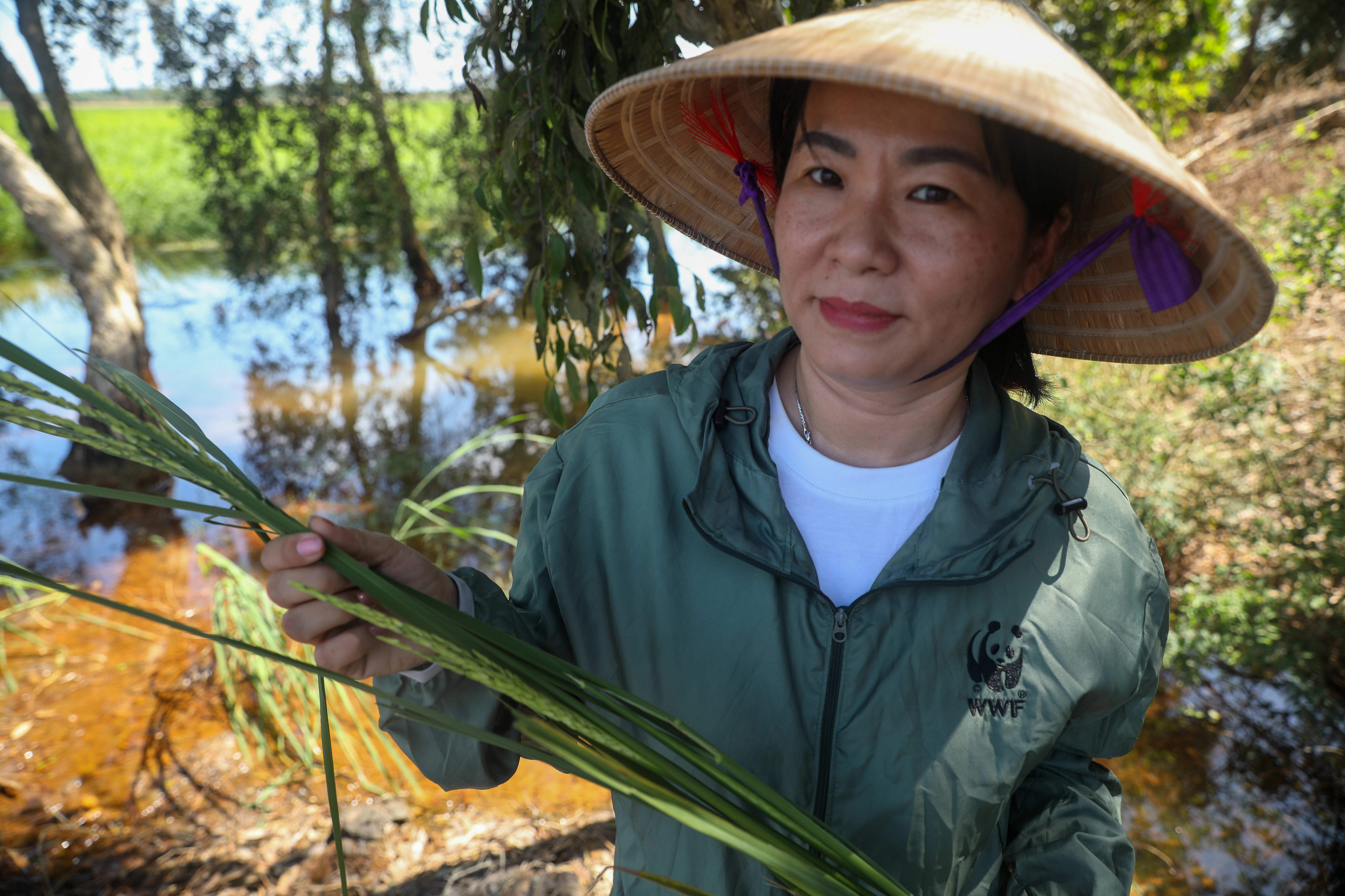 Nguyen Thi Thanh Phuong, CRxN Project Manager, WWF-Viet Nam holds a floating rice plant