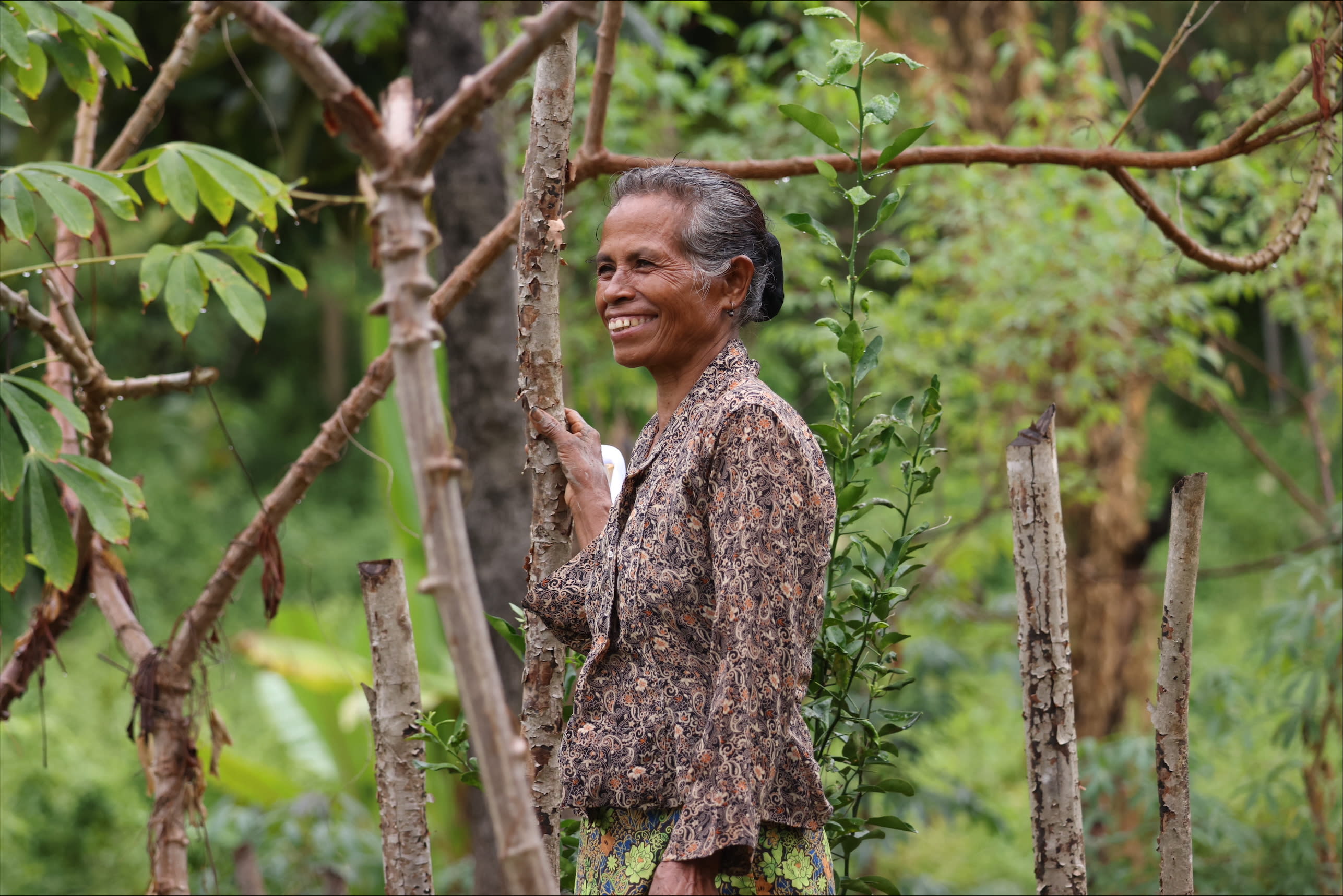 CRxN Timor-Leste: Gilermina