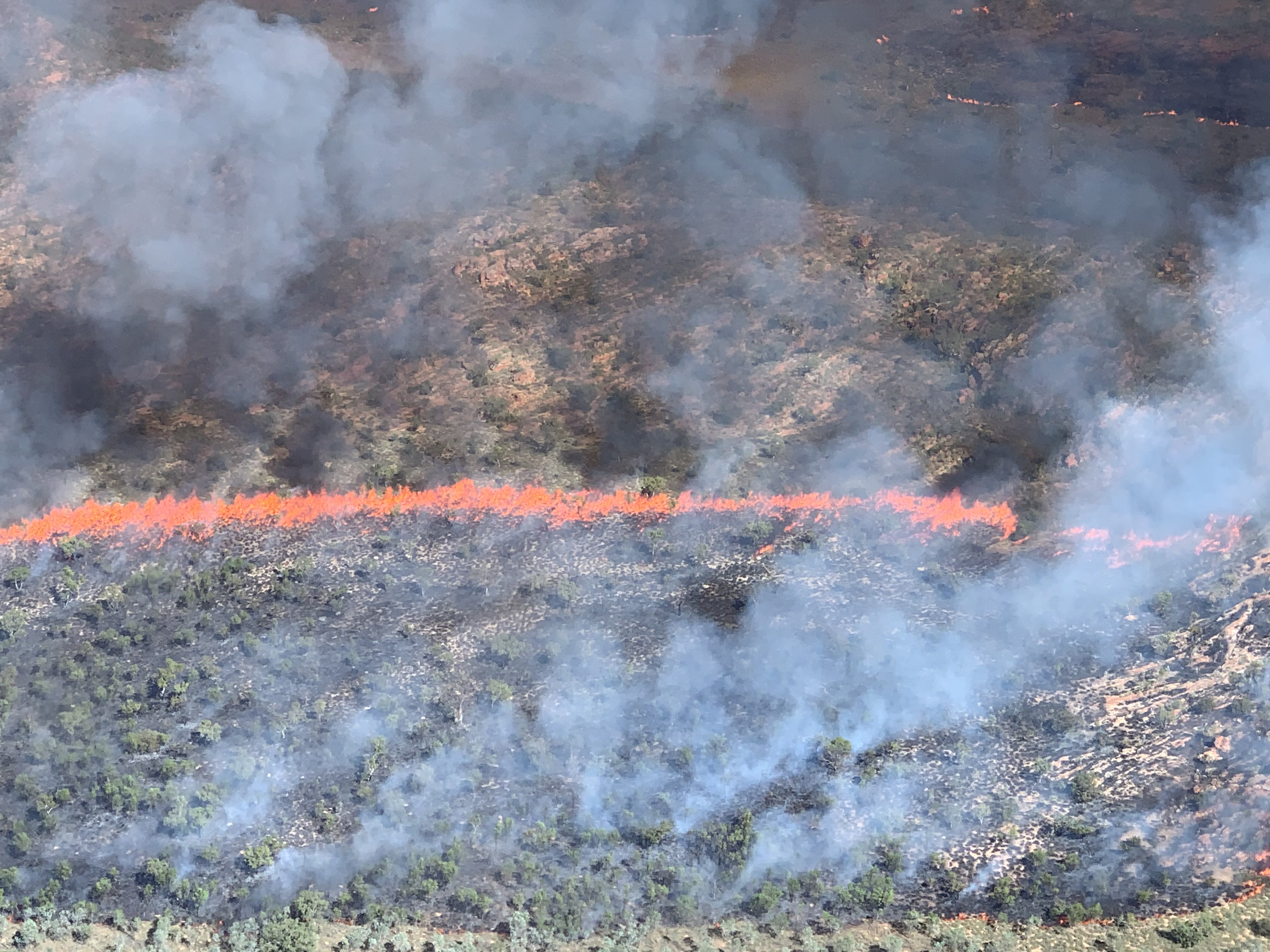Cultural fire management in the Kimberley