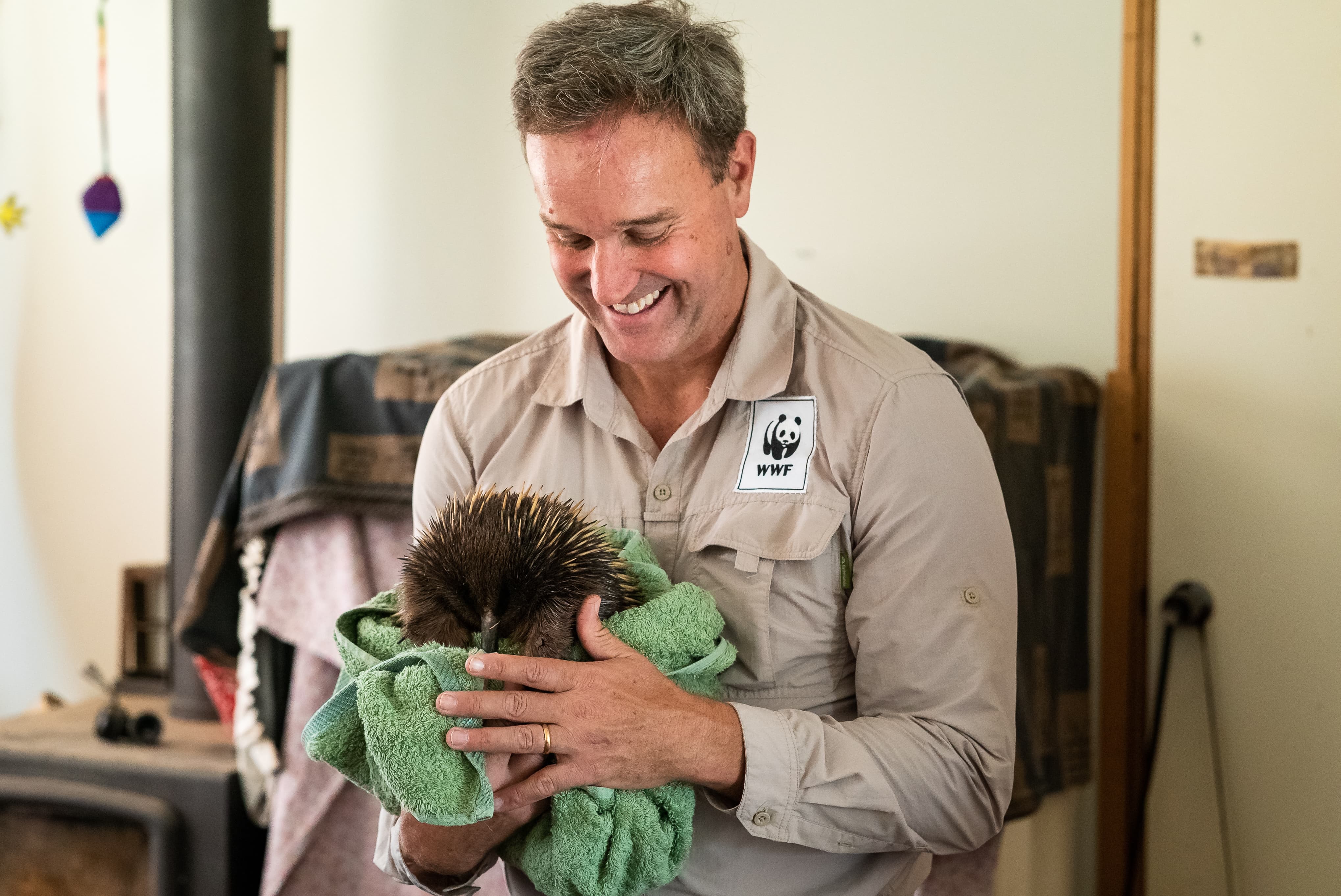 WWF-Australia CEO Dermot O'Gorman meeting Ellie the injured echidna at Wildcare in Carwoola, NSW.
