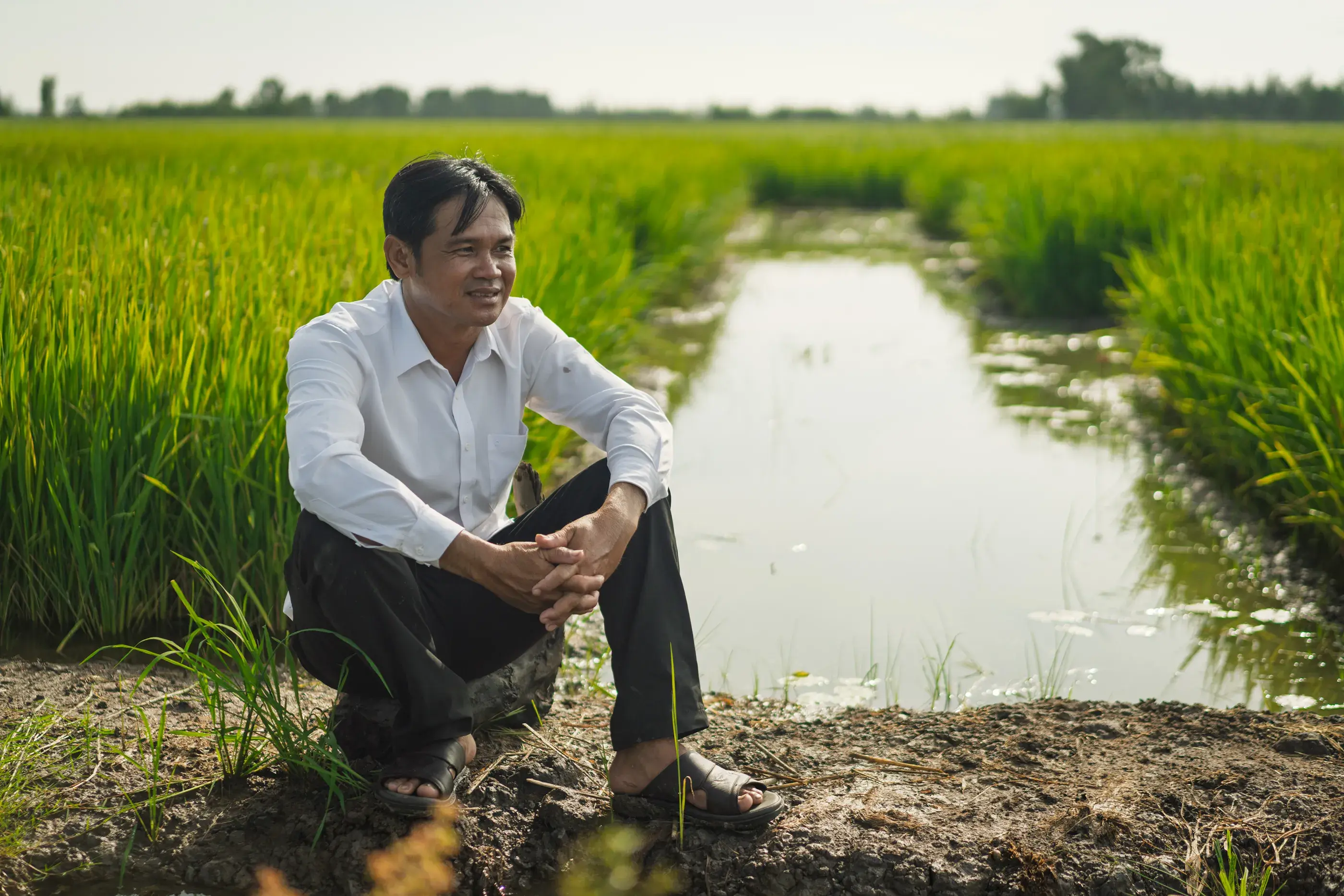 Dien, a local farmer supported by CRxN Mekong Viet Nam sits in a rice field with water in the background. © WWF-Viet Nam