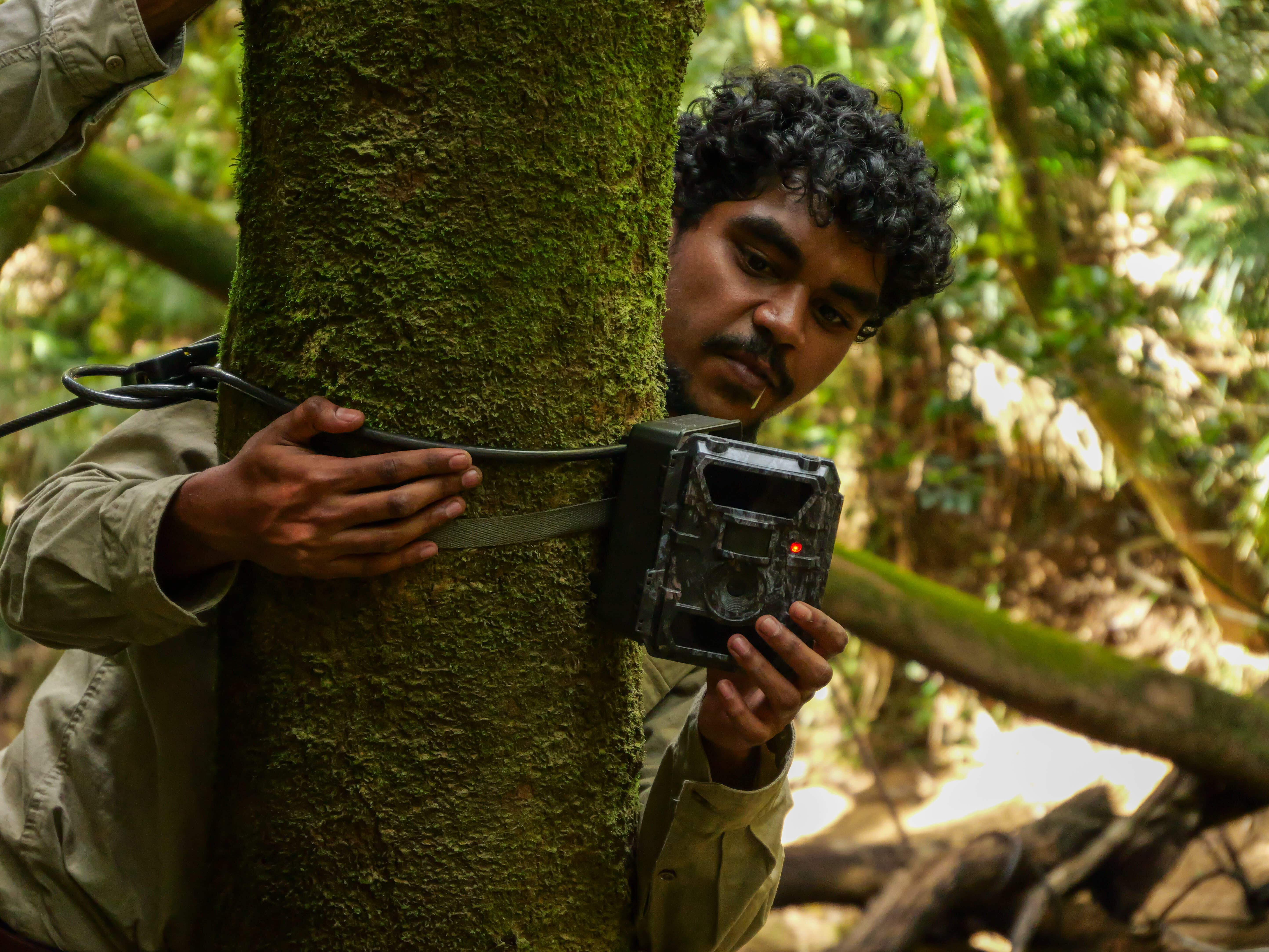 Djabugay Bulmba Ranger Caesar Hunter checks a trail camera.