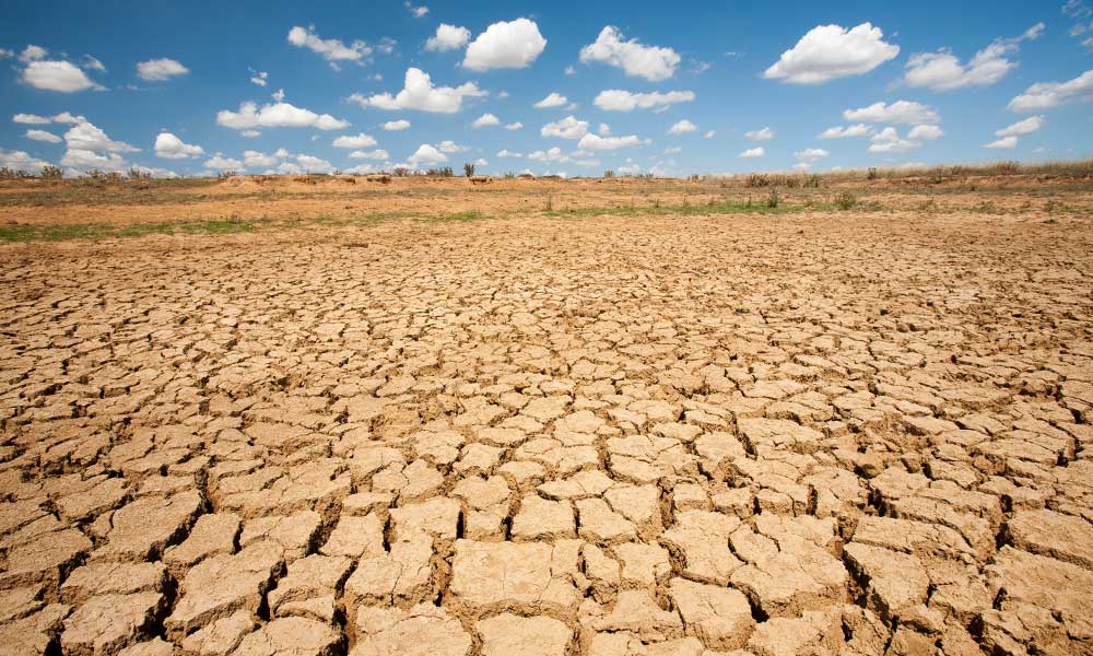 A totally dried up farmer's watering hole on a farm near Shepperton, Victoria