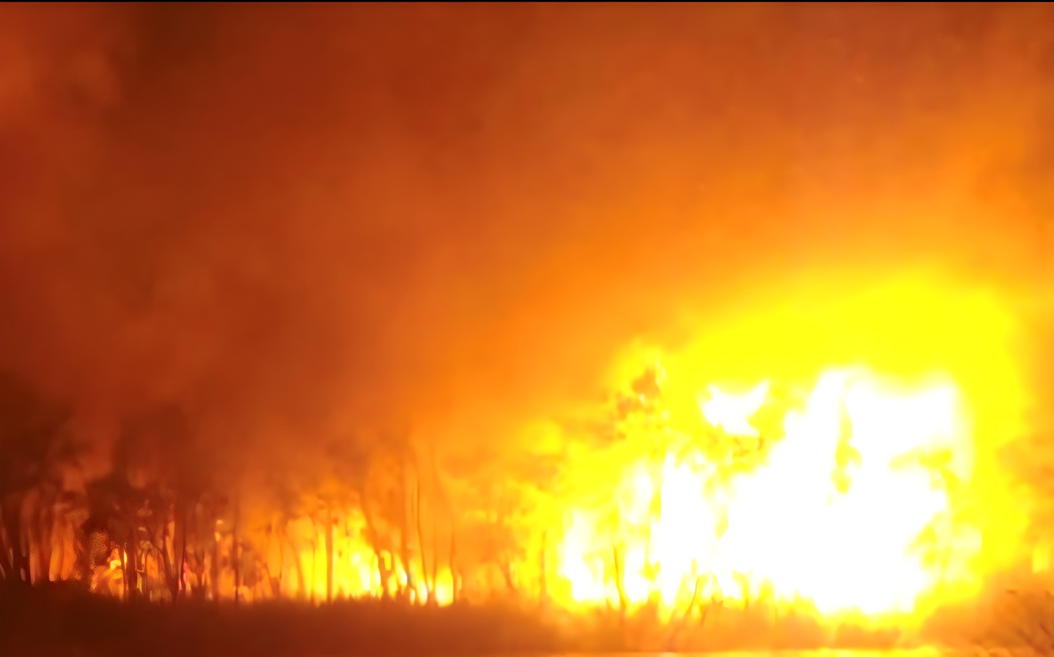 Fire at eighteen Mile Swamp on Minjerribah (North Stradbroke Island) in 2014