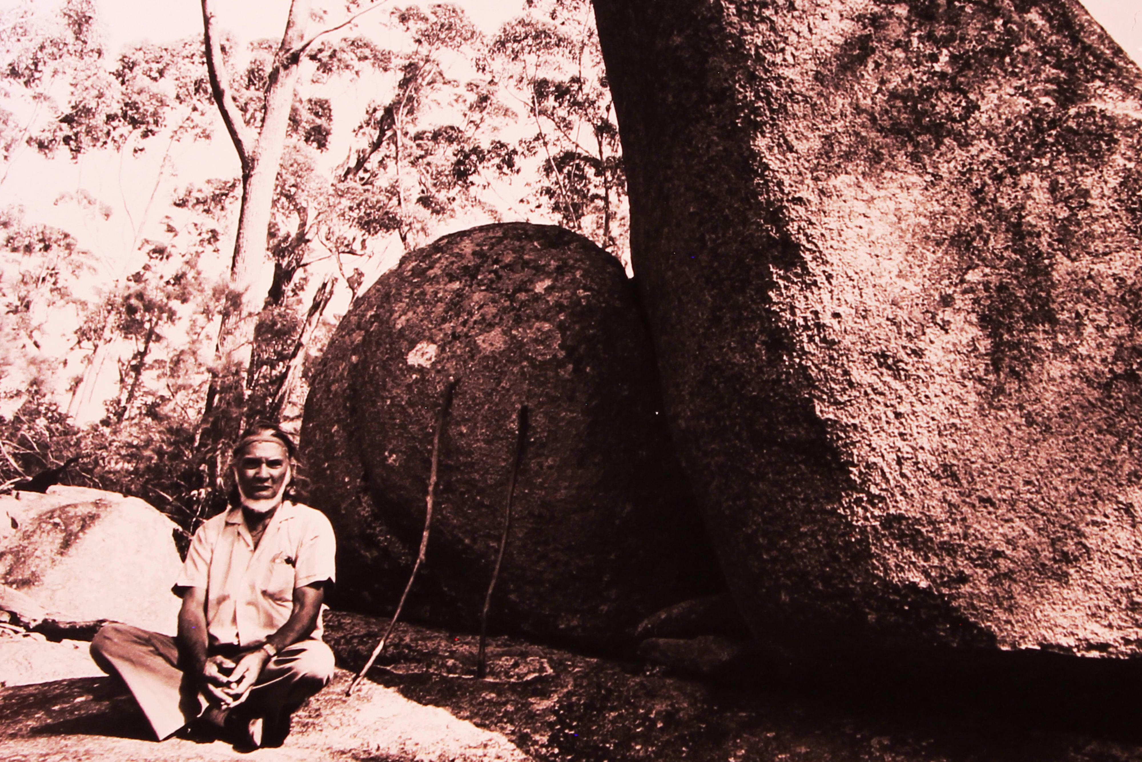 Guboo Ted Thomas led the fight to protect Biamanga Mountain from logging.