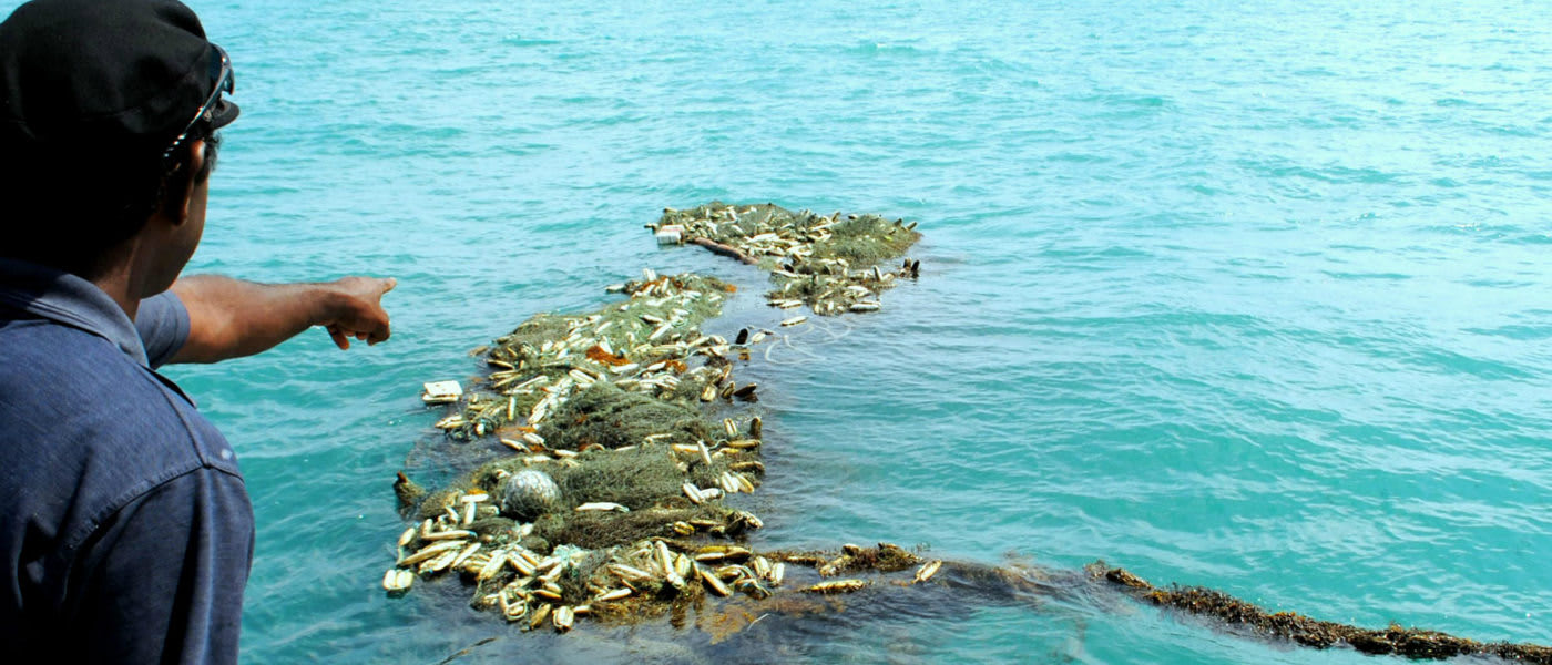 A large illegal drift net caught on some obstruction on the sea floor.