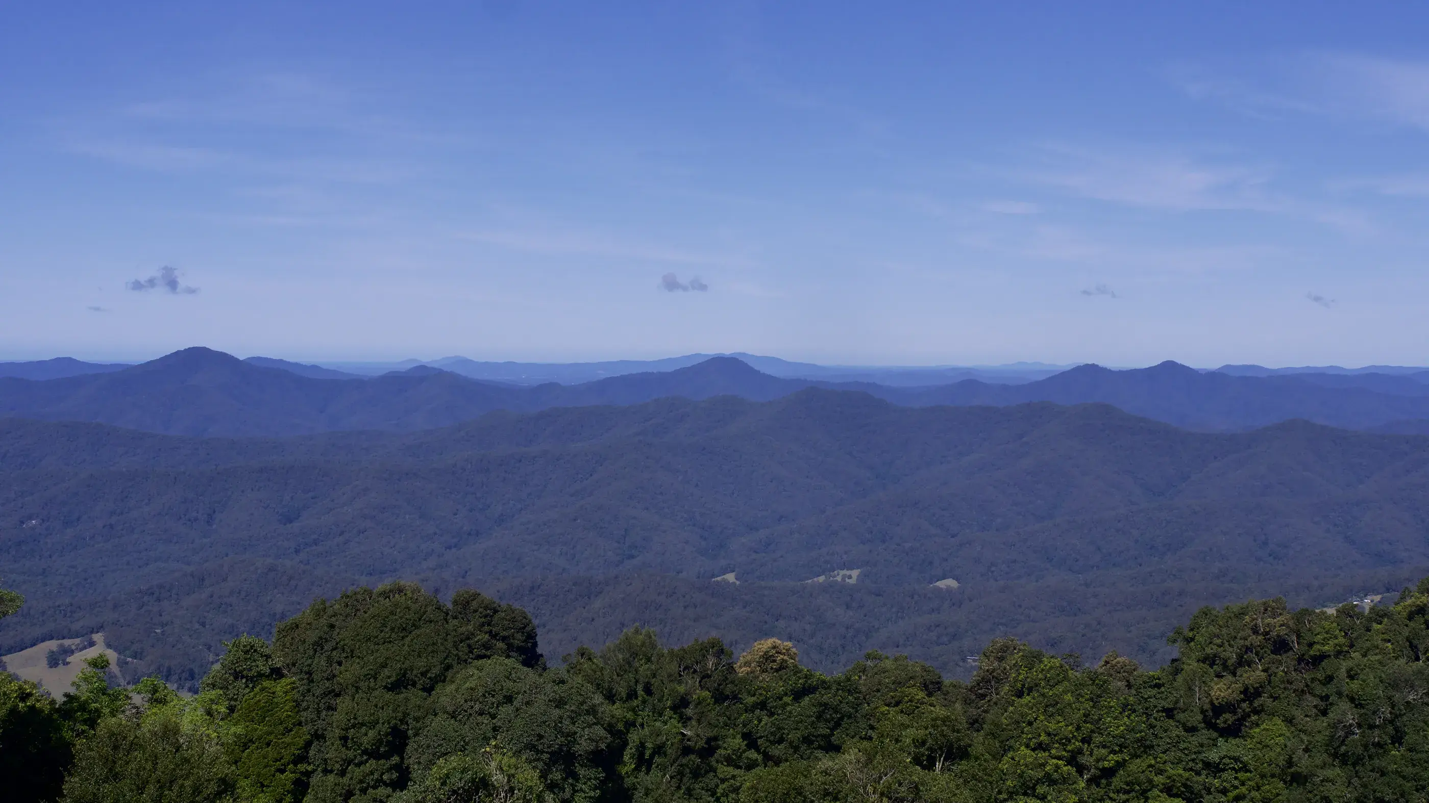 Landscape image of a native forest with the forest stretching to the horizon. Great Koala National Park, Coffs Coast, NSW. © WWF-Australia / Headline Productions