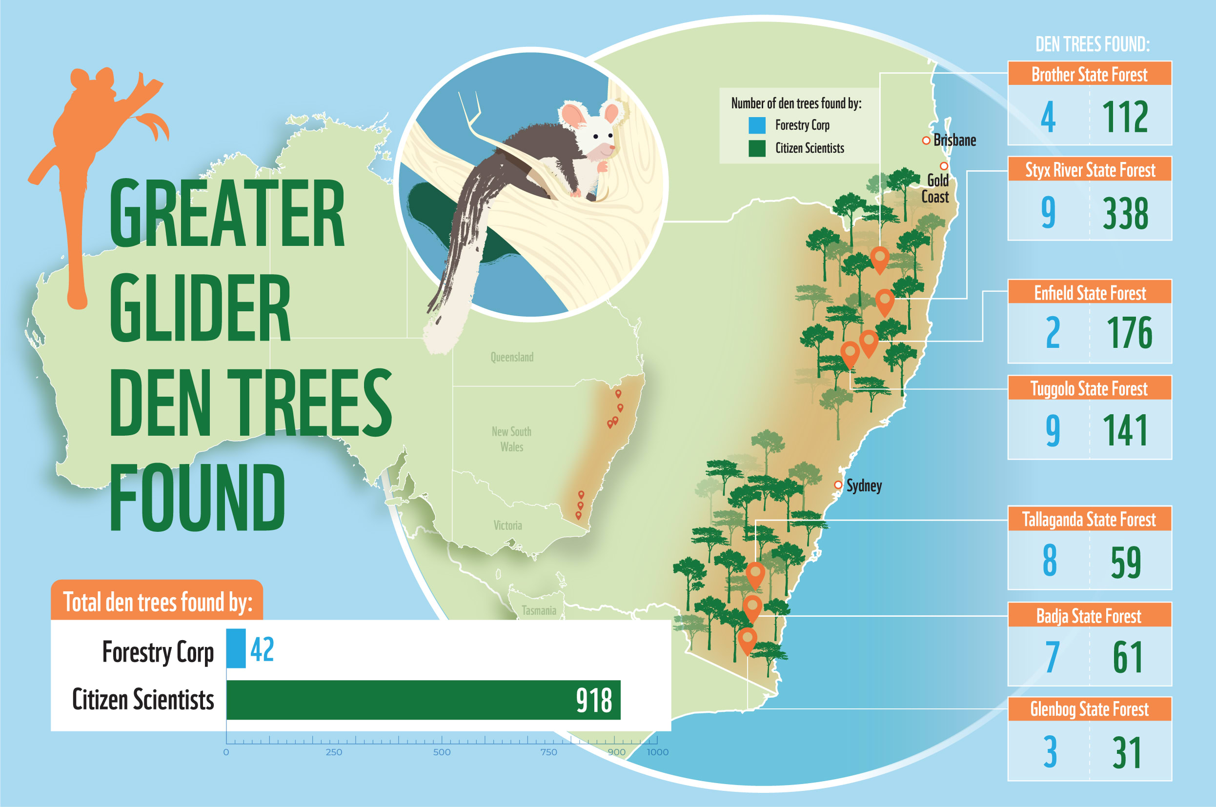img_greater_glider_den_trees_graphic