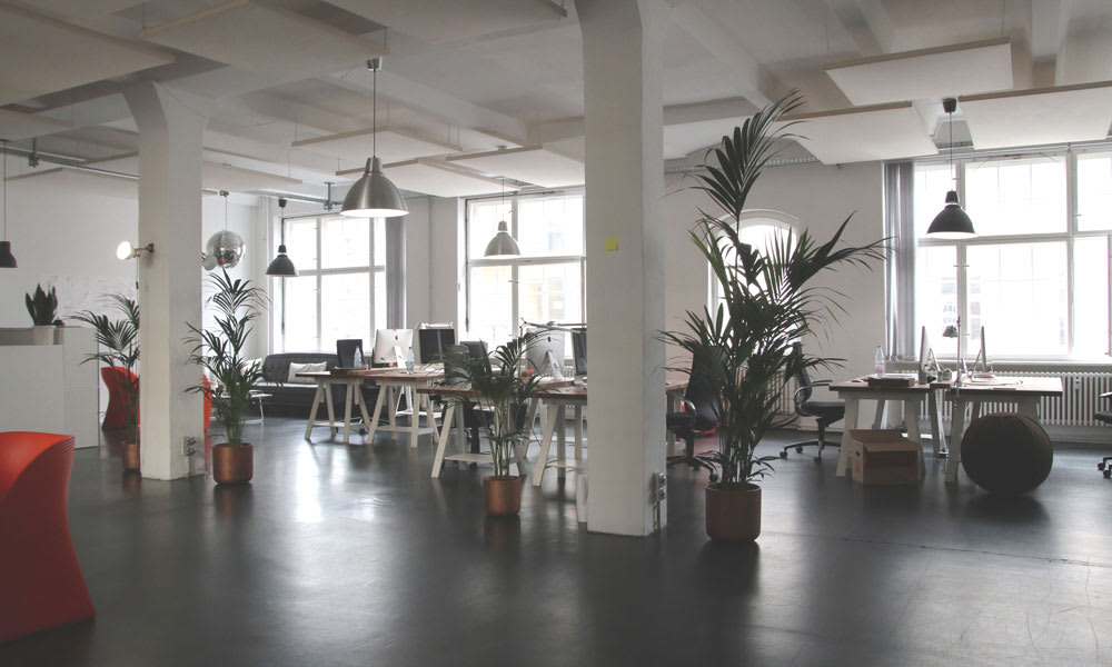 Green office workspace