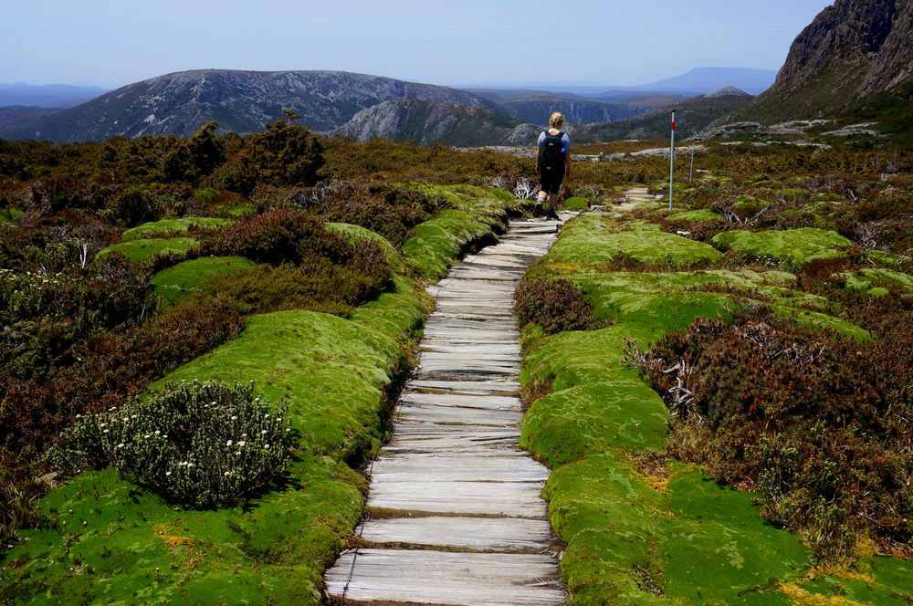 A hiker in Cradle Mountain - Lake St Clair National Park, Tasmania.