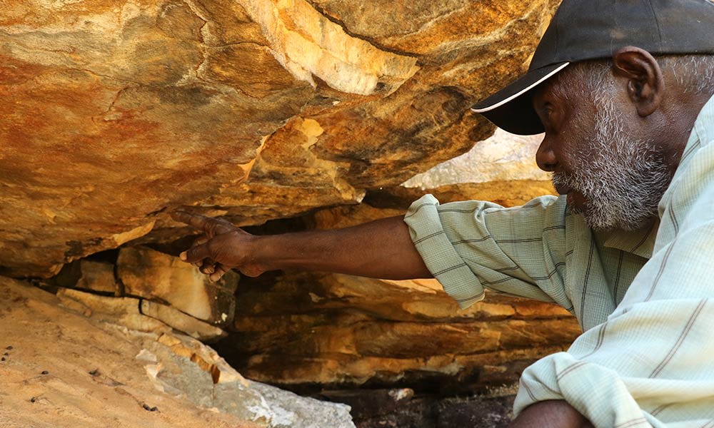 Ian, Traditional Owner of Nyarinyin (Wilinggin) country, searching for scats in suspected Nabarlek territory, August 2015