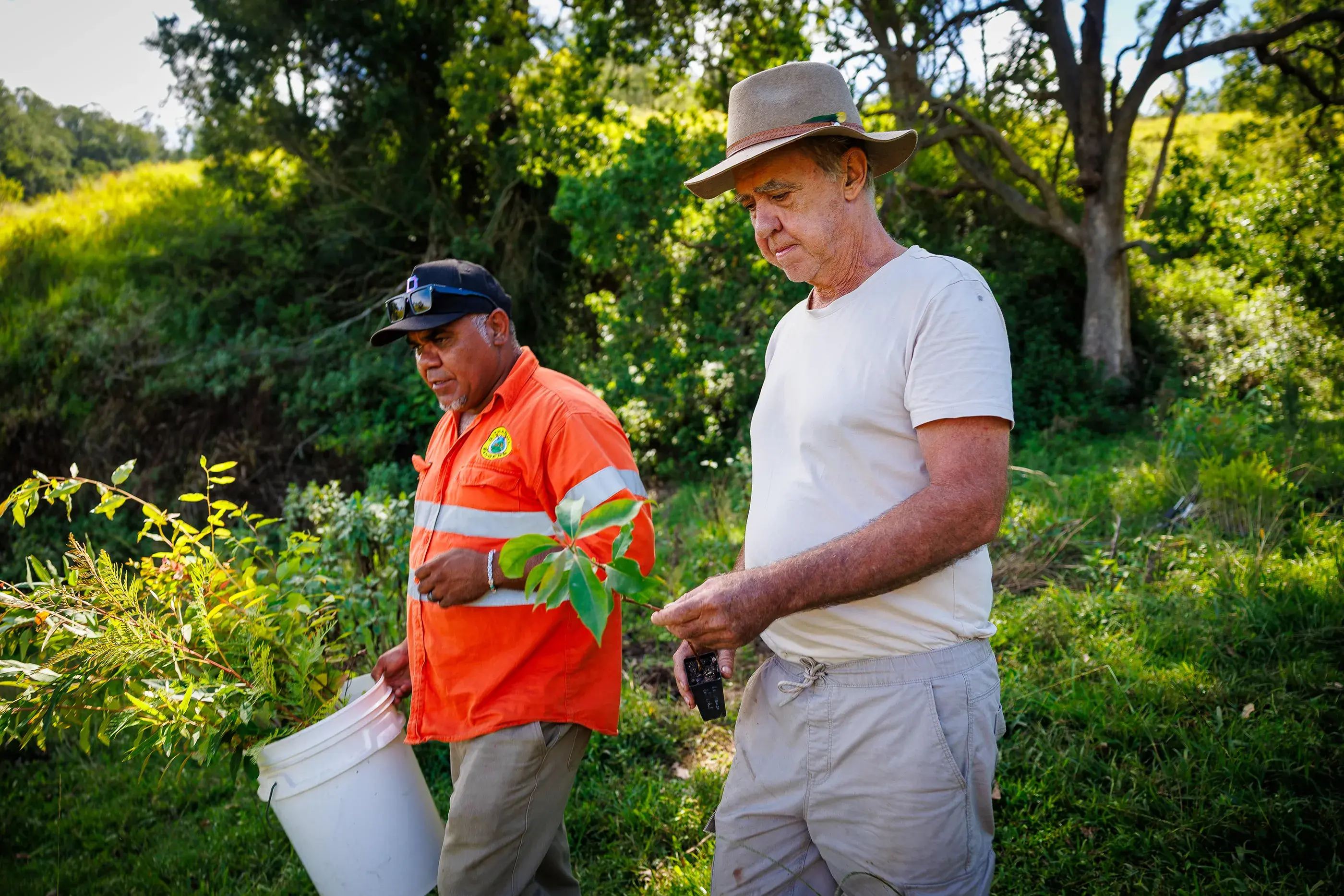 Bruce Murray (left), Githabul Ranger, planting trees with Andy Moy (right), landholder of Tulipwoods.
A tree planting event under the Koala Friendly Carbon Initiative at Tulipwoods, Lynchs Creek. © WWF-Australia / Patrick Hamilton