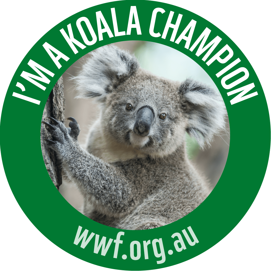 Social media badge