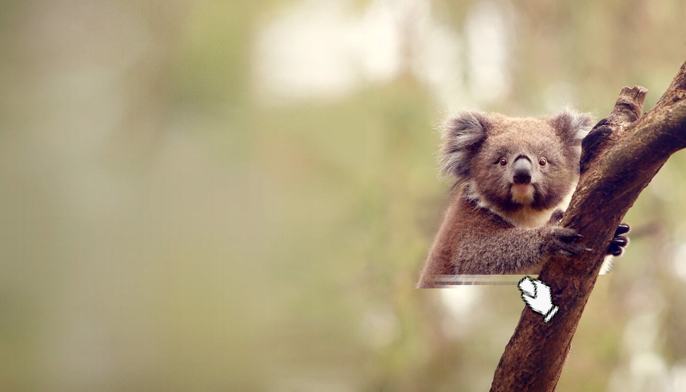 End animal extinction campaign image