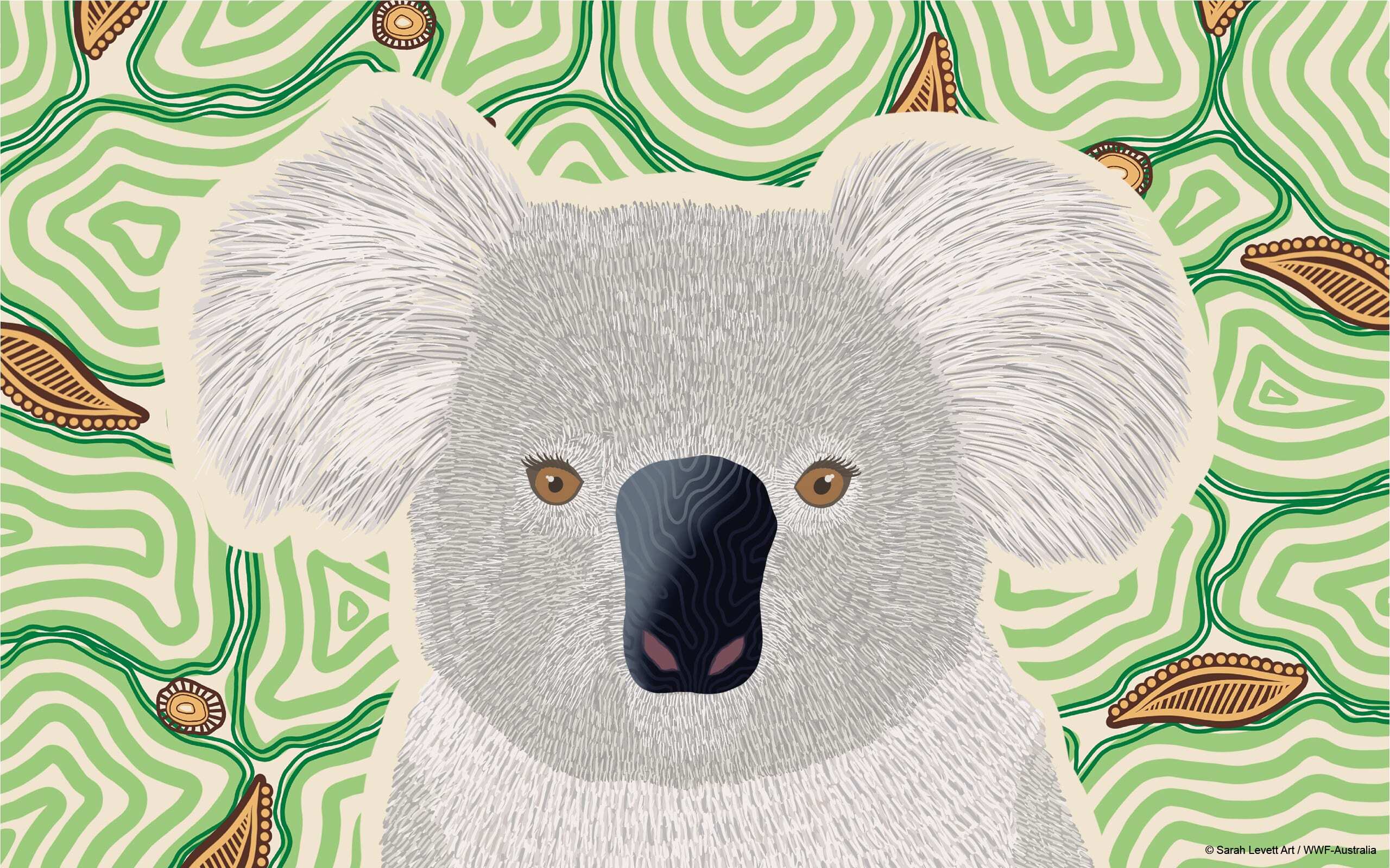 Indigenous koala art from Wiradjuri and Gundungurra artist Sarah Levett - desktop wallpaper.