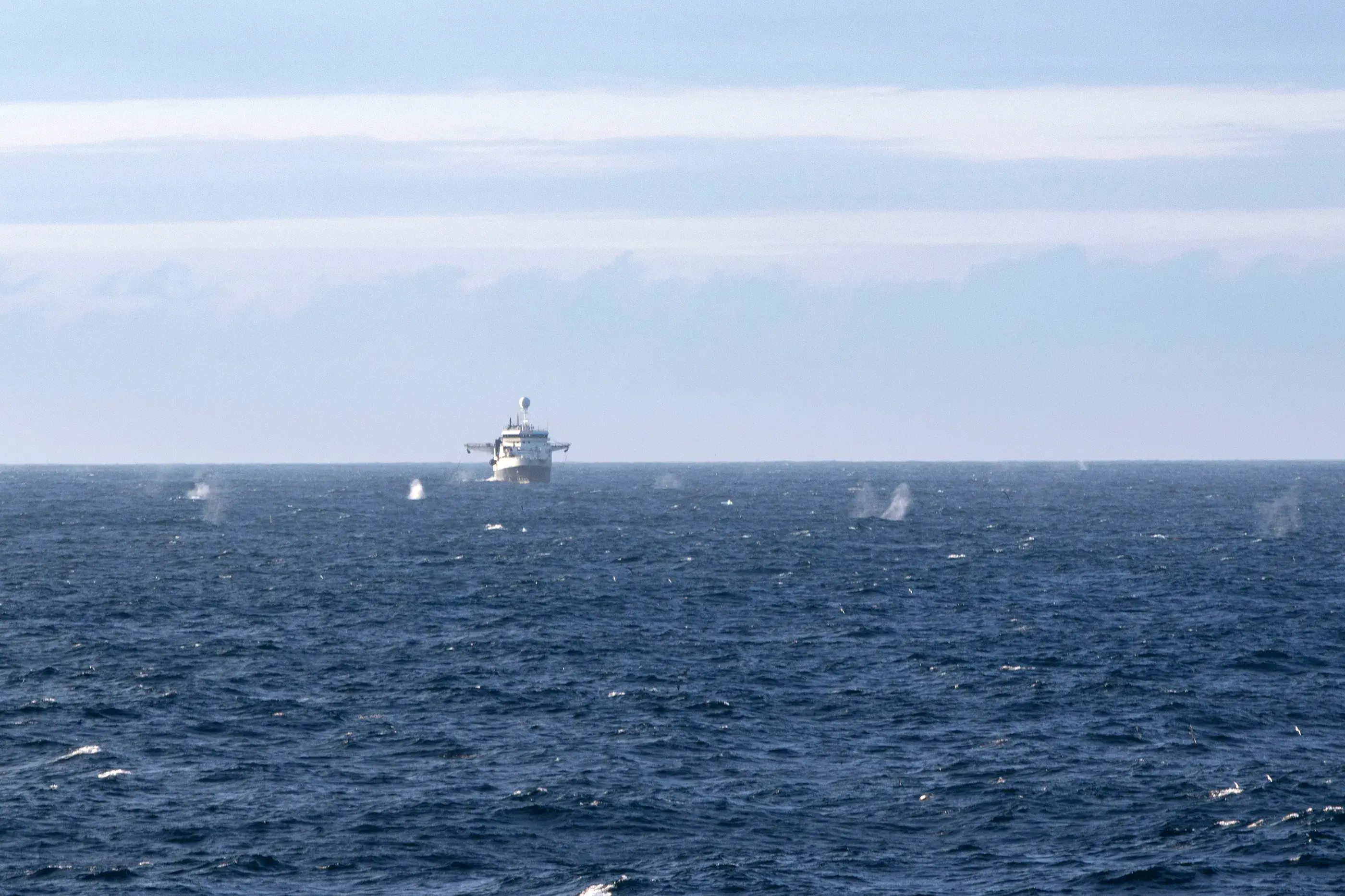 A krill fishing vessel actively trawling towards an extremely large group of fin whales 25 km north of Coronation Island on 13 January 2022. © Conor Ryan