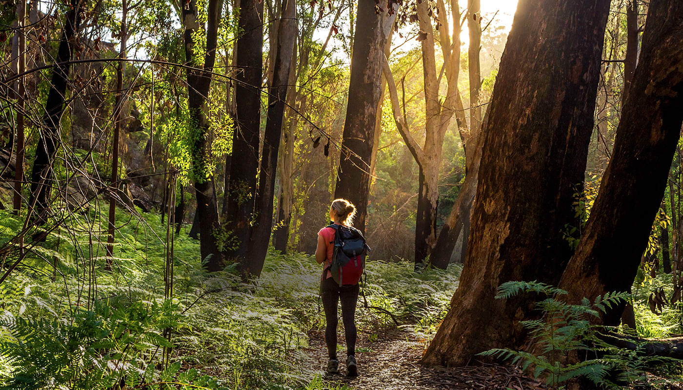 A woman hiking in a forest with a backpack.
