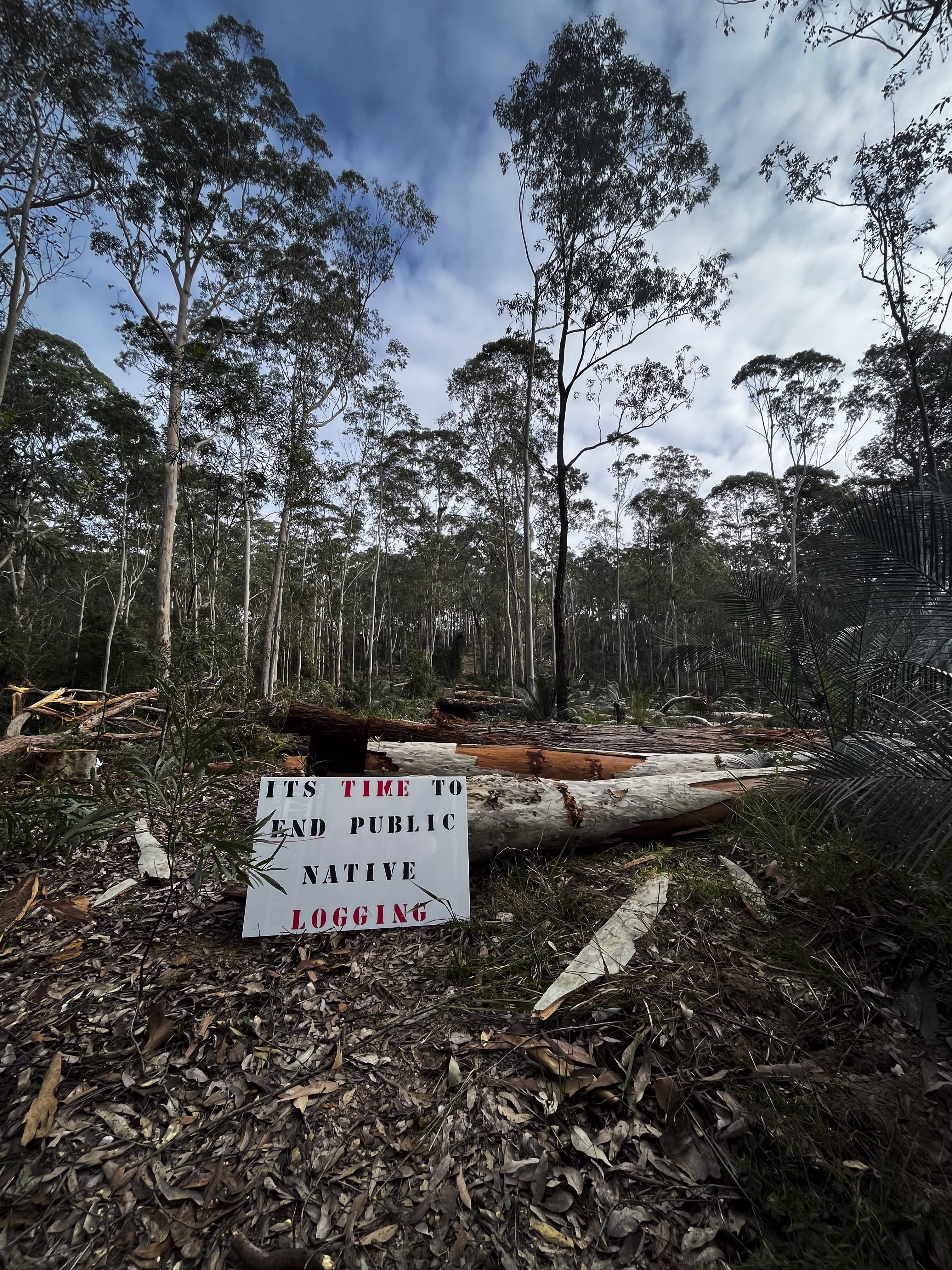 Forest debris and logs from logging less than 500m away from Aboriginal environmental leader  Takesa Frank’s family home.