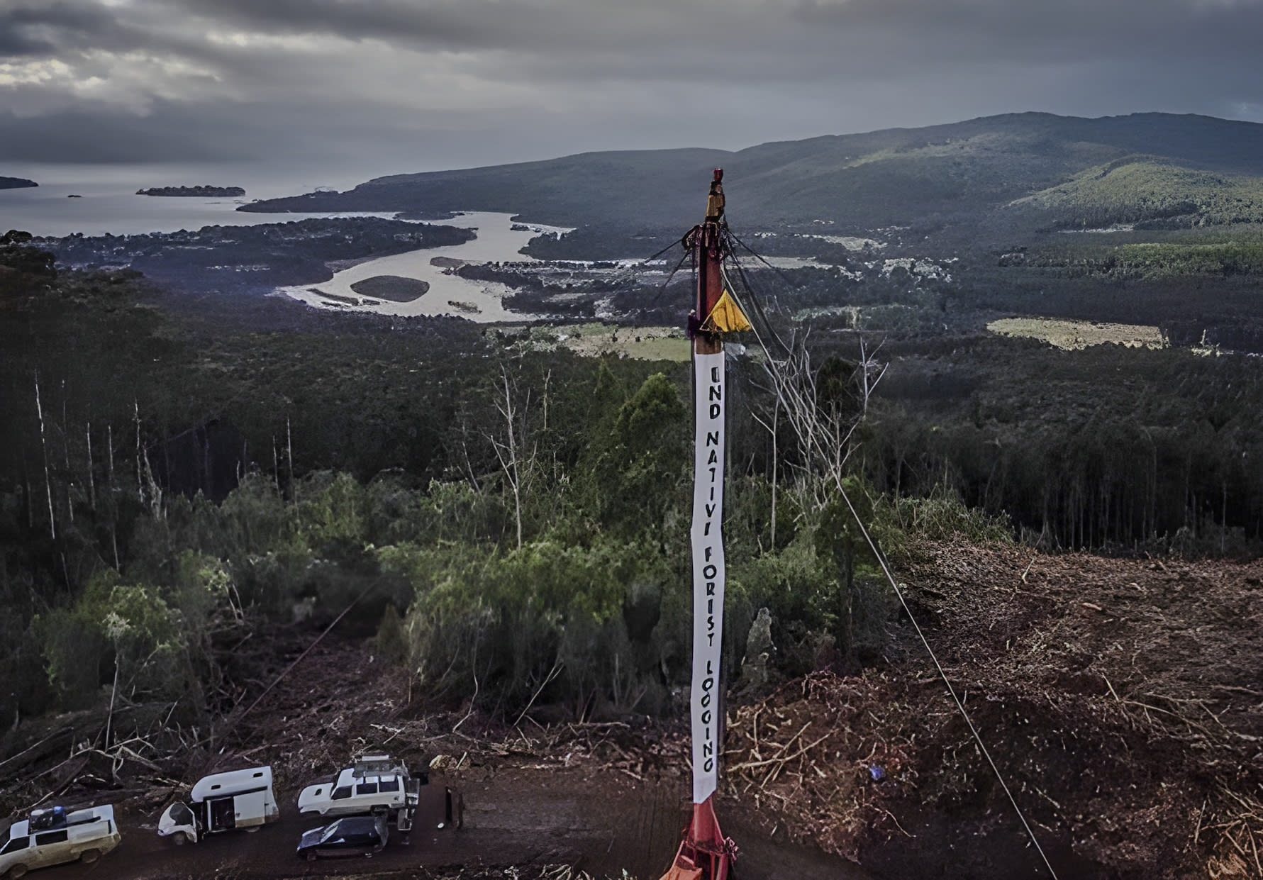 A protest Takesa Frank attended in Lutruwita, Tasmania, in 2023 with the Bob Brown Foundation. This protest halted logging for two days.