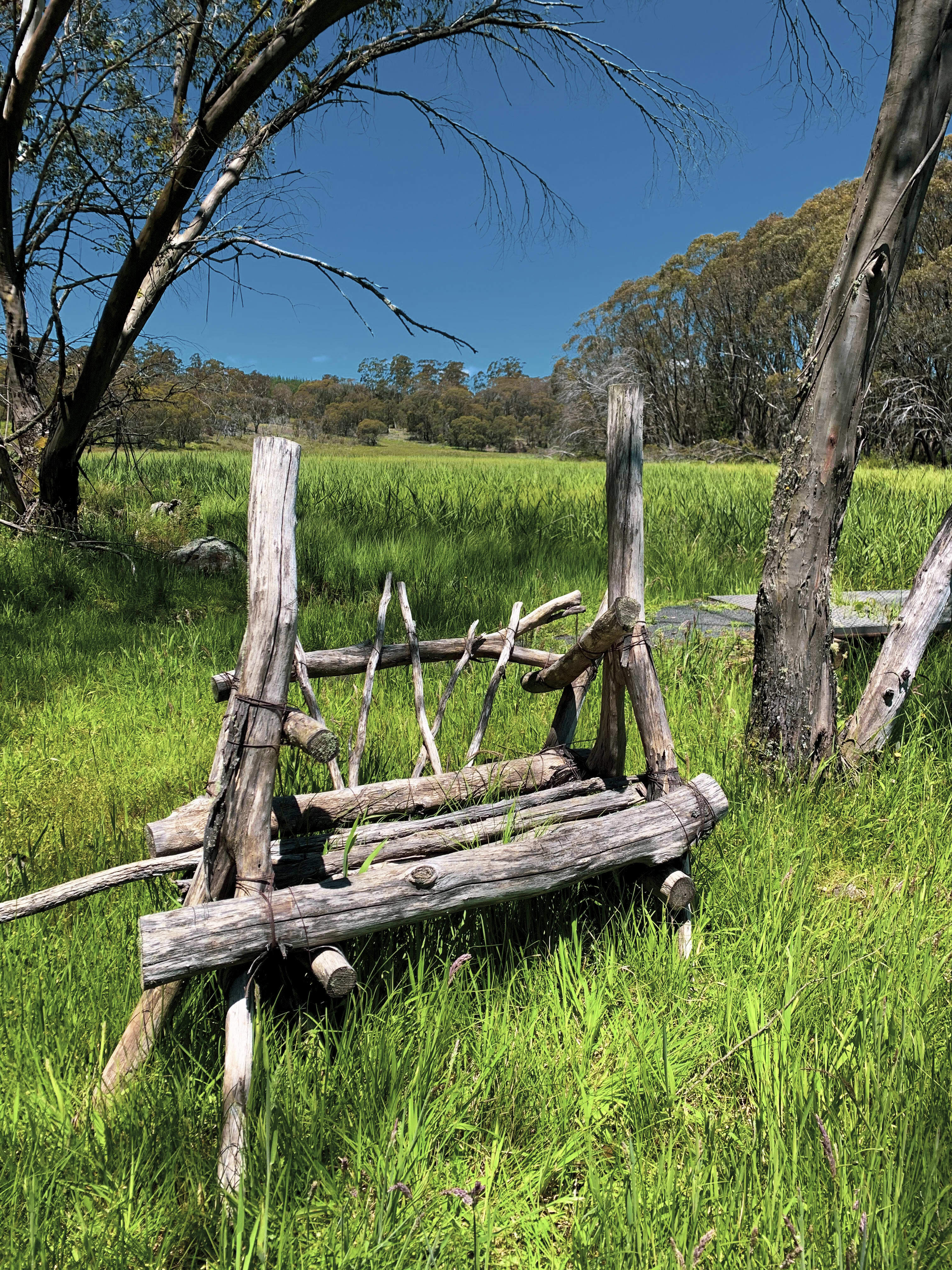 Micalong Swamp, NSW