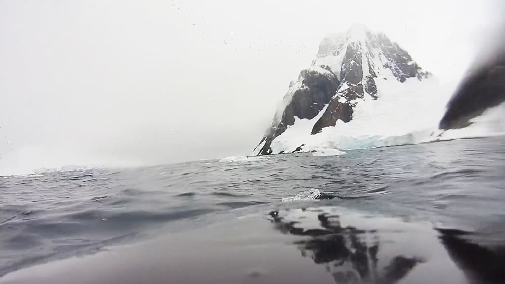 The whale cam view of Antarctica from a minke whale