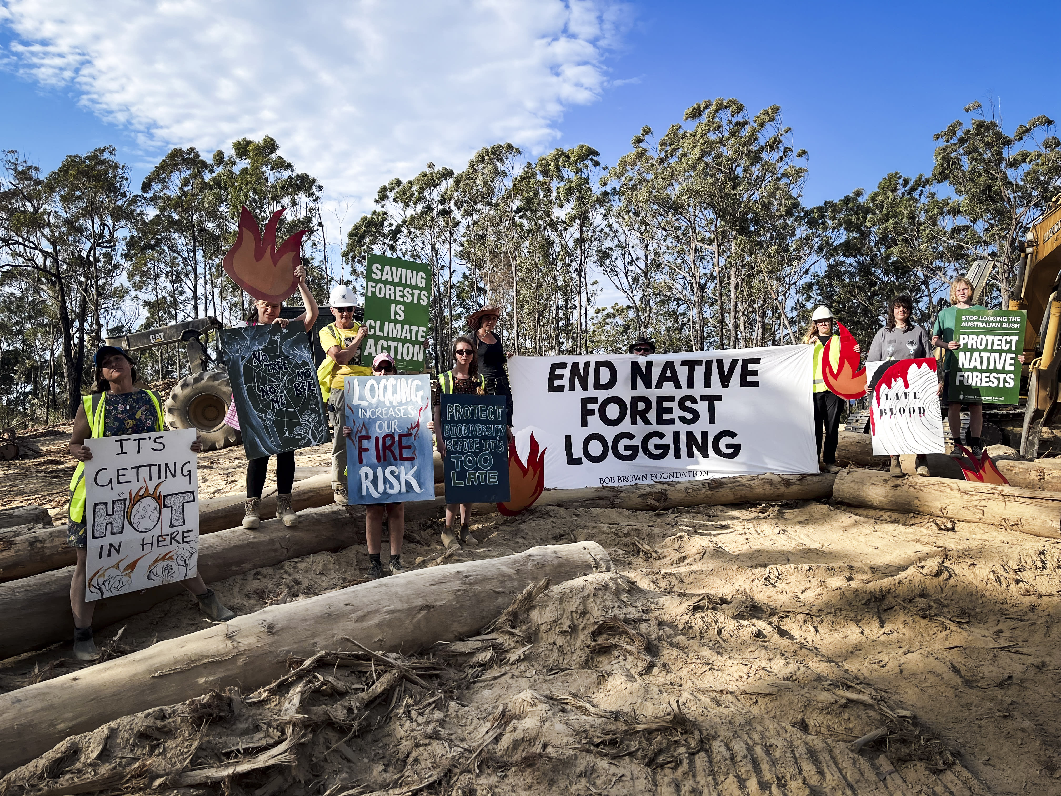 A protest Takesa Frank organised and attended in Shallow Crossing State Forest to raise awareness of the bushfire risk posed after logging due to the forest debris left.