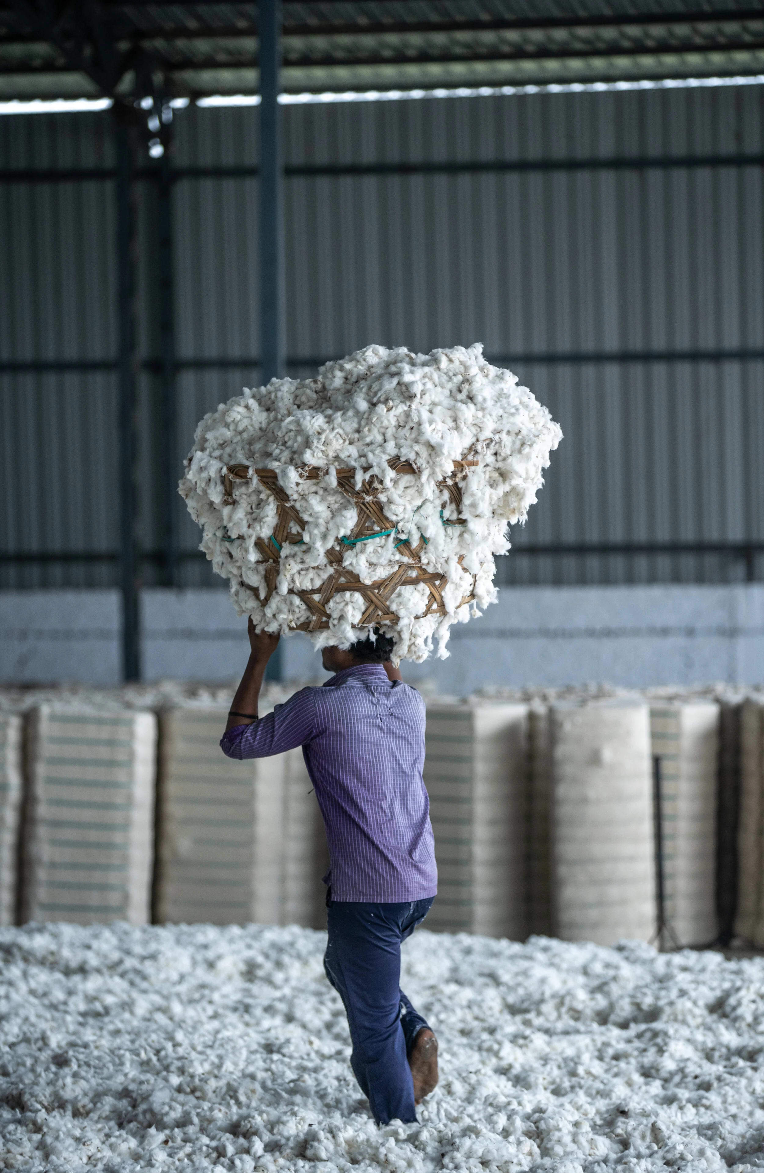 img_organic_cotton_collected
